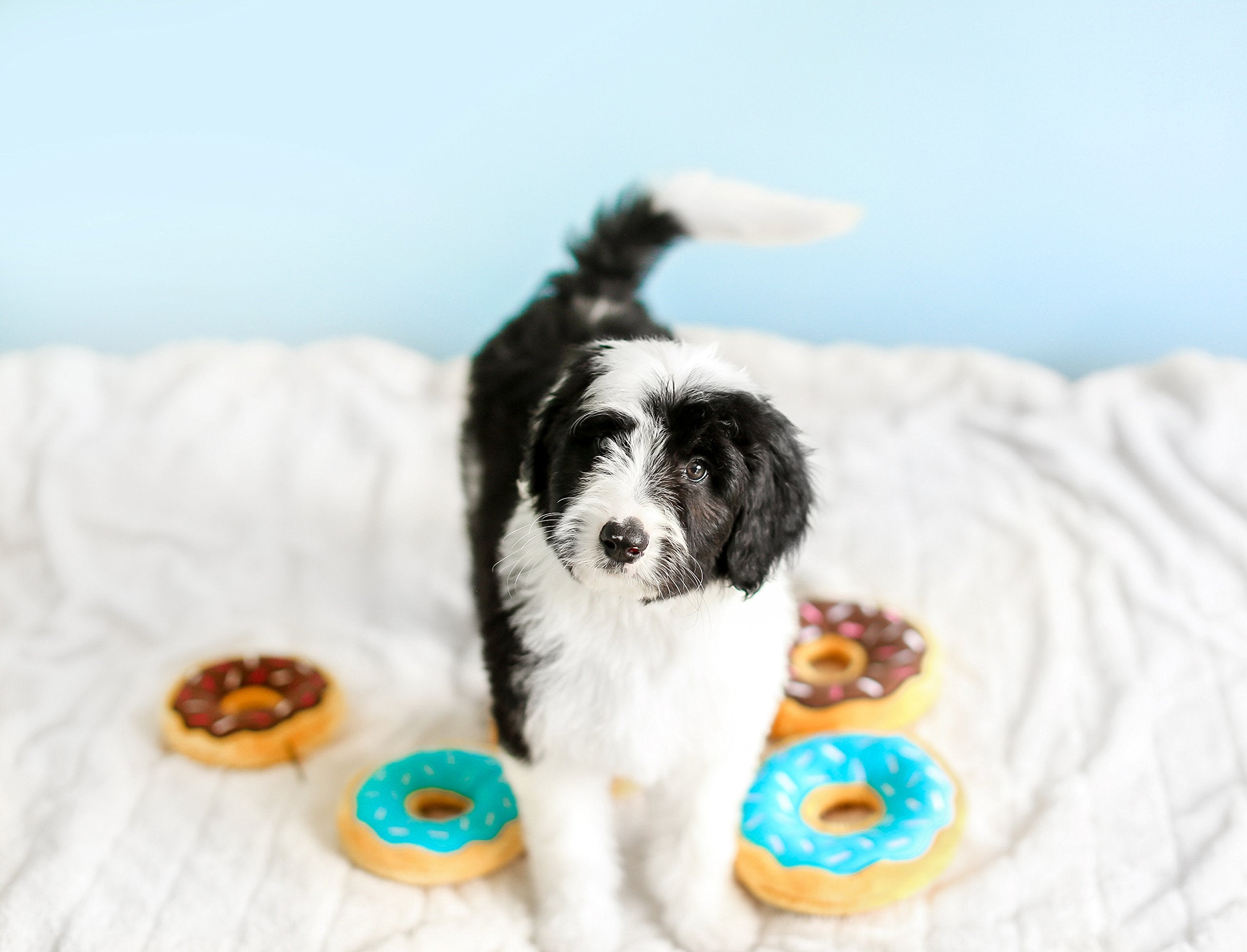 Zippypaws - Mini Donutz No Stuffing Squeaky Plush Dog Toy - Chocolate, Mini Size