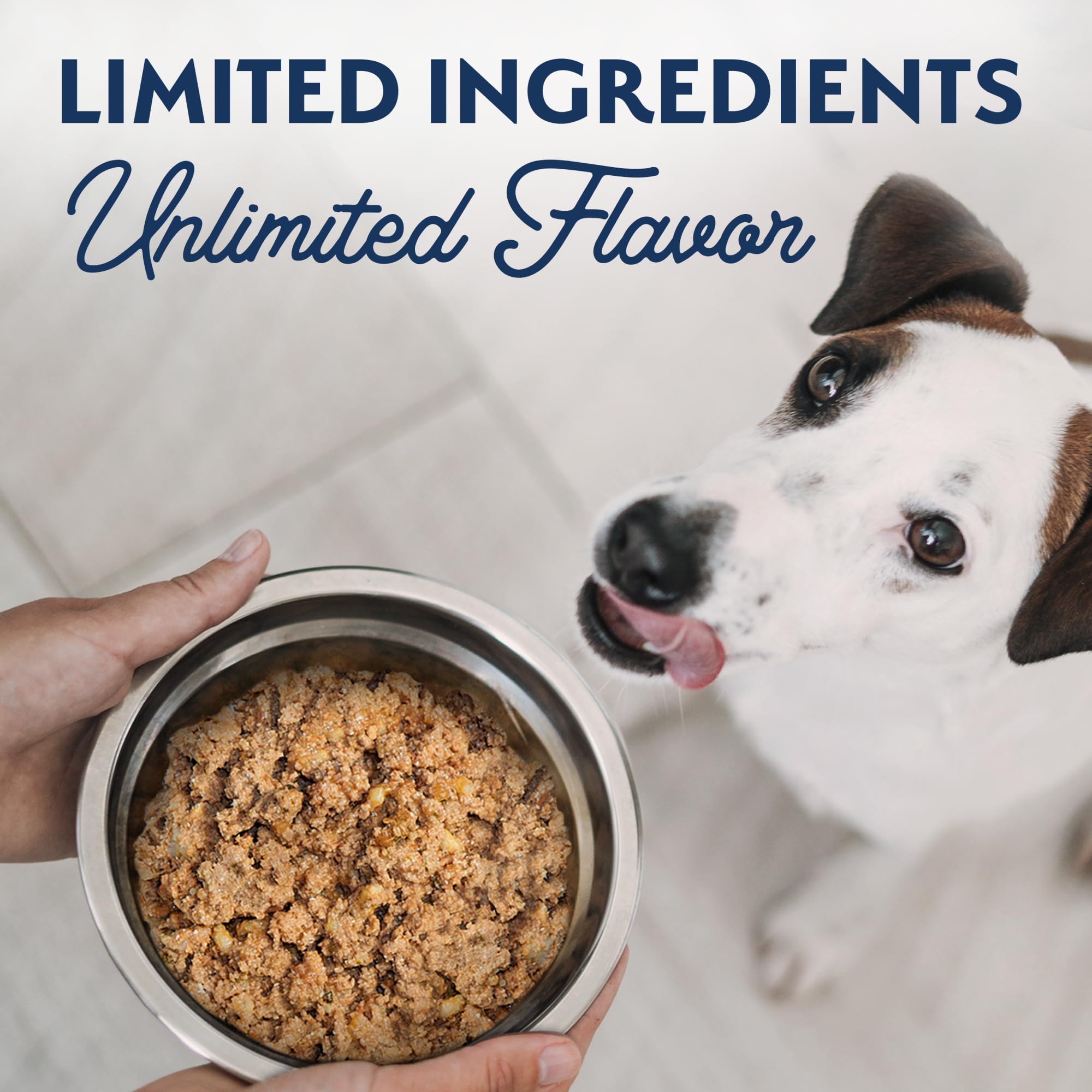 Natural Balance Limited Ingredient Wet Dog Food, Variety Pack, Reserve Duck & Potato and Chicken & Sweet Potato, 13oz., (Case of