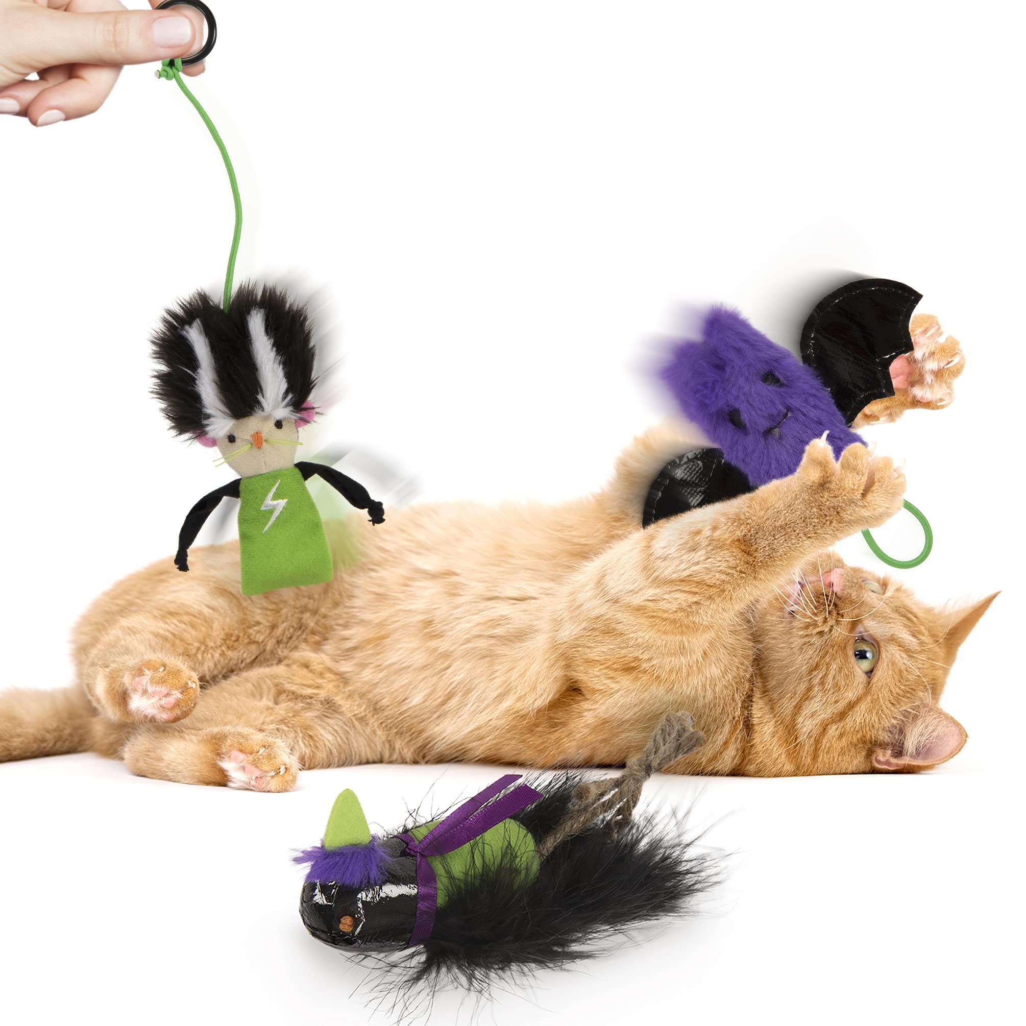 Petlinks (4 Set Bundle Halloween Cat Toys, 2X Crinkle Bat Launchers, 1X Catnip Crow, 1X Bride Of Frank Dangler - Multi Color, 4 Set Bundle