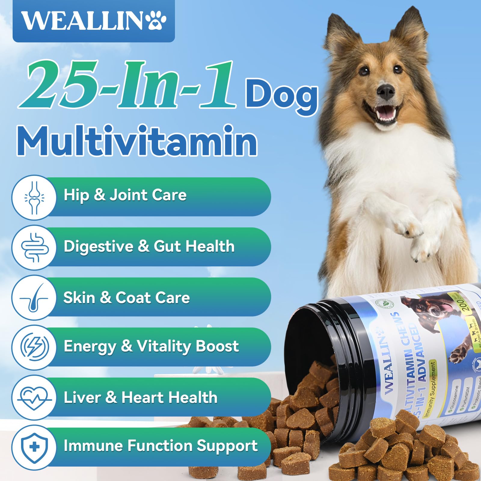 Dog Vitamins - 25-In-1 Dog Vitamins and Supplements Multivitamin For Dogs With Glucosamine Probiotics Omega-3 Dog Multivitamin C