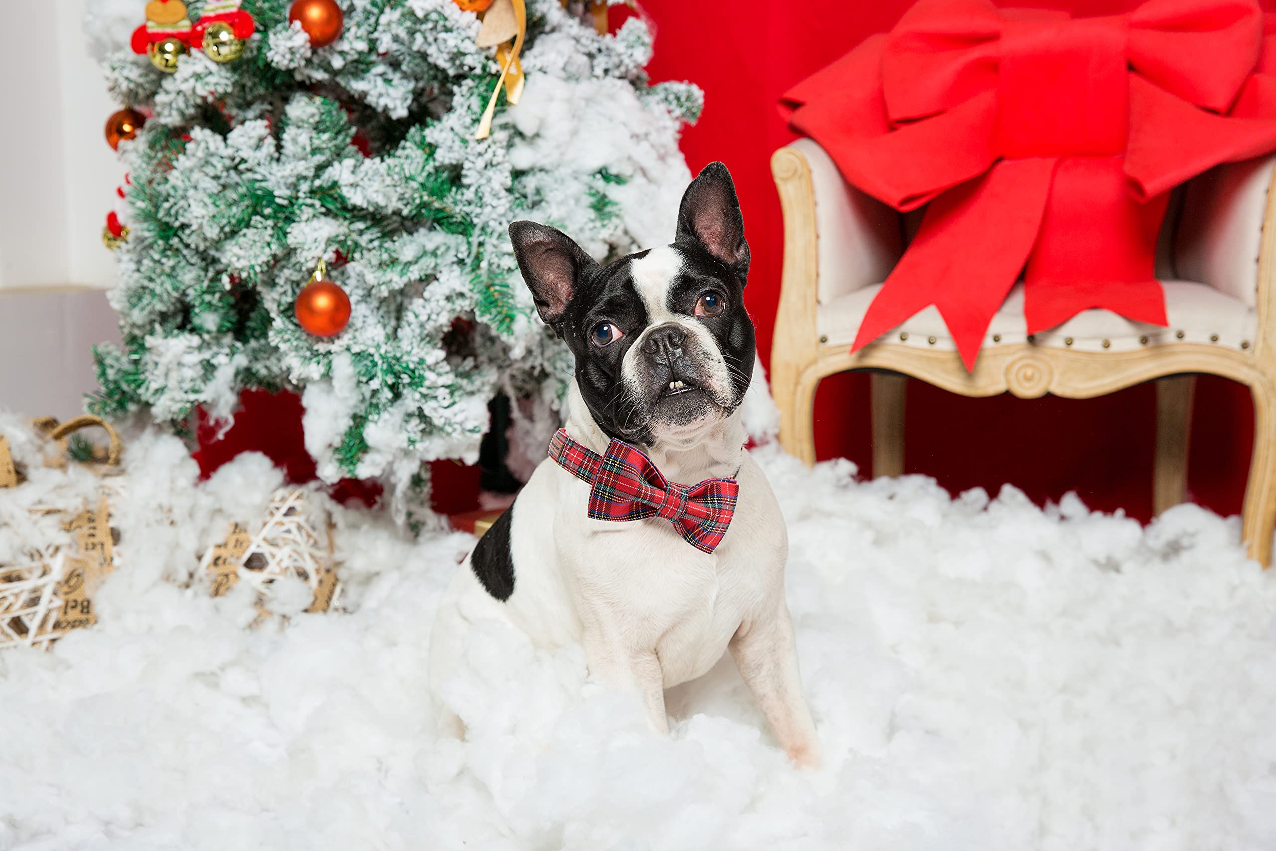 Unique Style Paws Christmas Dog Collar Bow Tie Collar Adjustable Collars For Dogs Small Medium Large