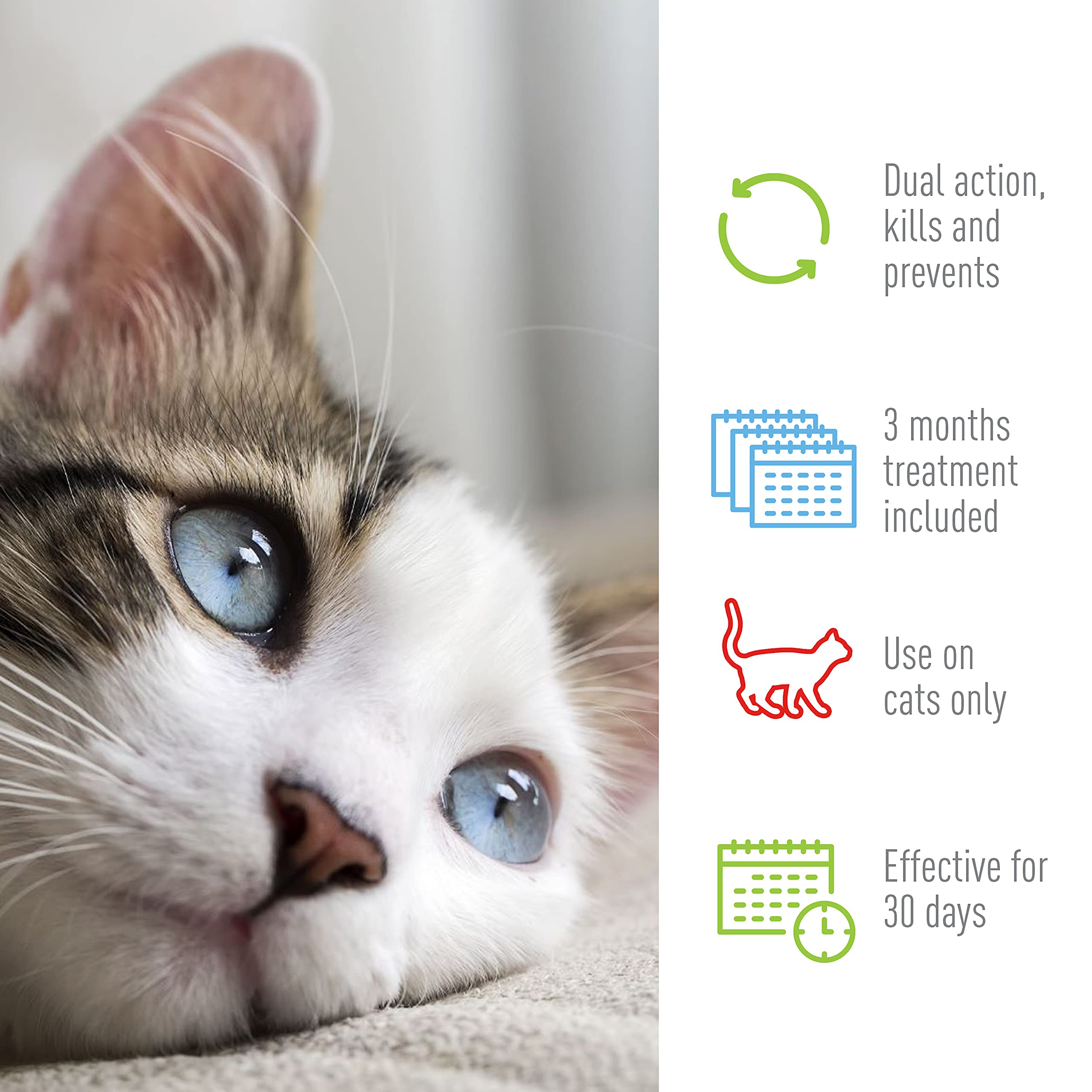 Adams Plus Flea & Tick Spot On for Cats Over 2.5 lbs but Under 5 Pounds 3 Month Supply