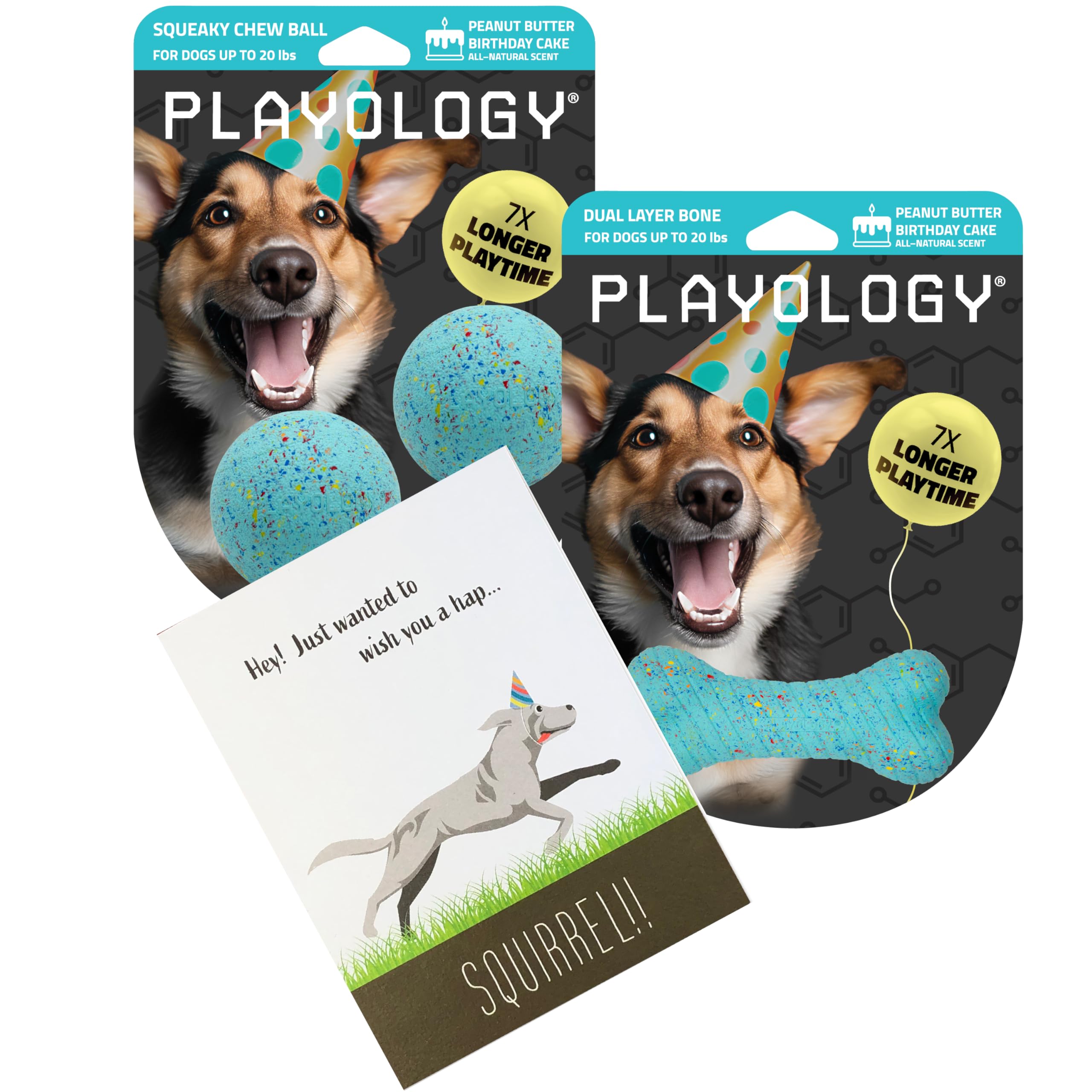 Playology Birthday Pack Dog Toys For Small Dogs | All-Natural Peanut Butter Birthday Cake Scented Gift Bundle | 2 Squeaky Chew B