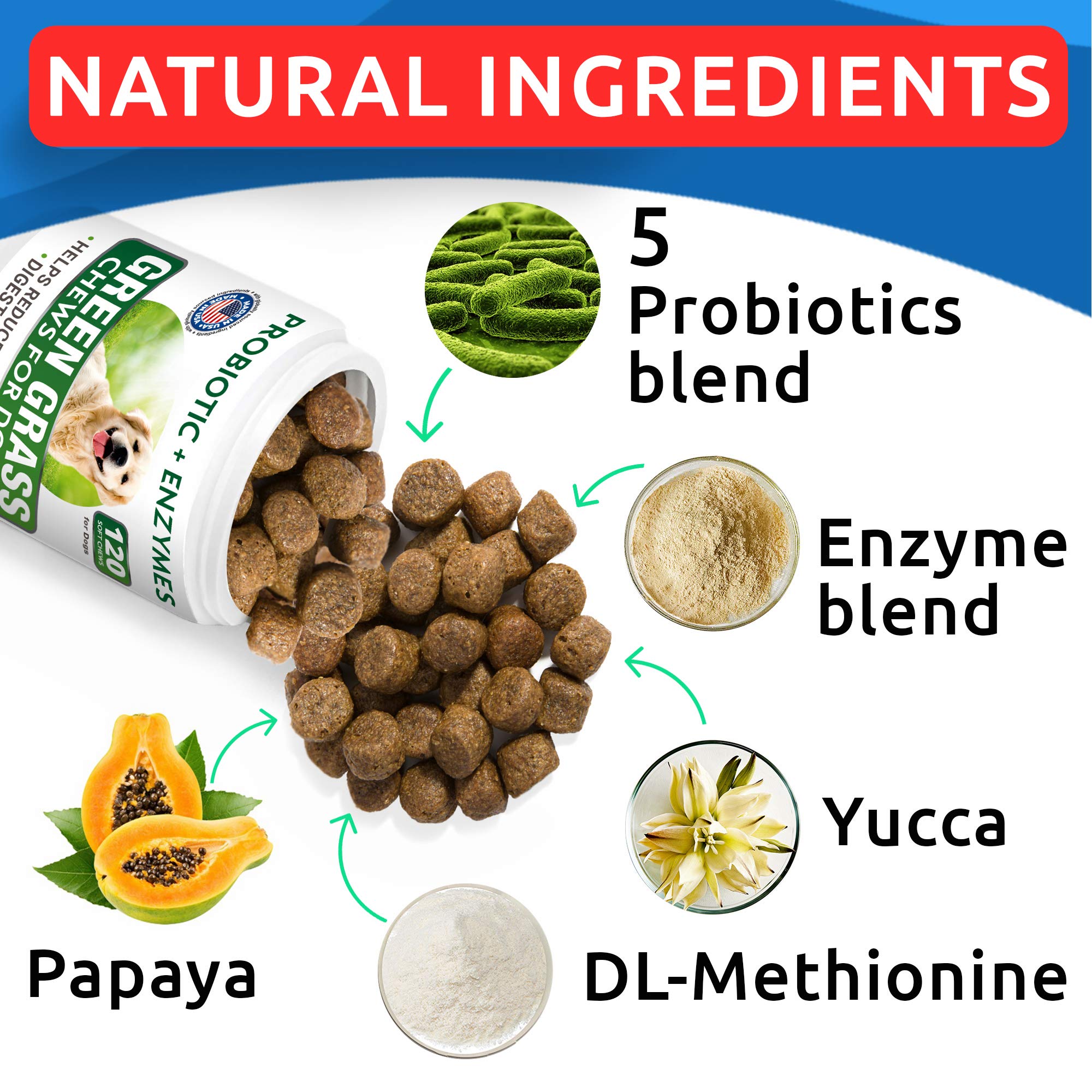 Bark&Spark All-Natural Grass Burn Spot Chews for Dogs - Pee Lawn Spot Saver - Grass Restore Treats - Dog Urine Neutralizer Solut