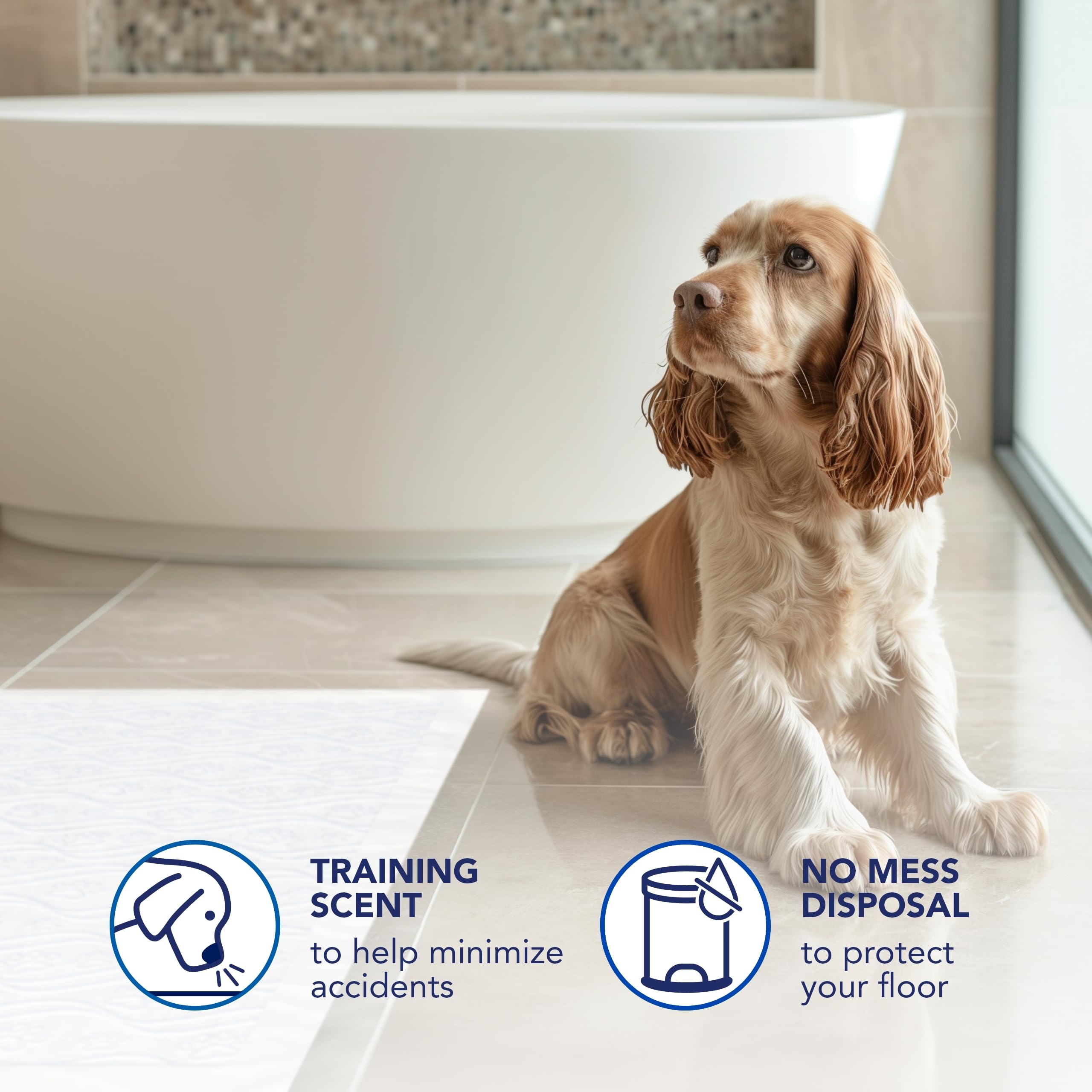 Scott Pet Guard Dog Pads - Dog Training Pee Pads for Puppies, Medium & Large Dogs - Up to 12 Hour Absorbent Odor Control - Easil