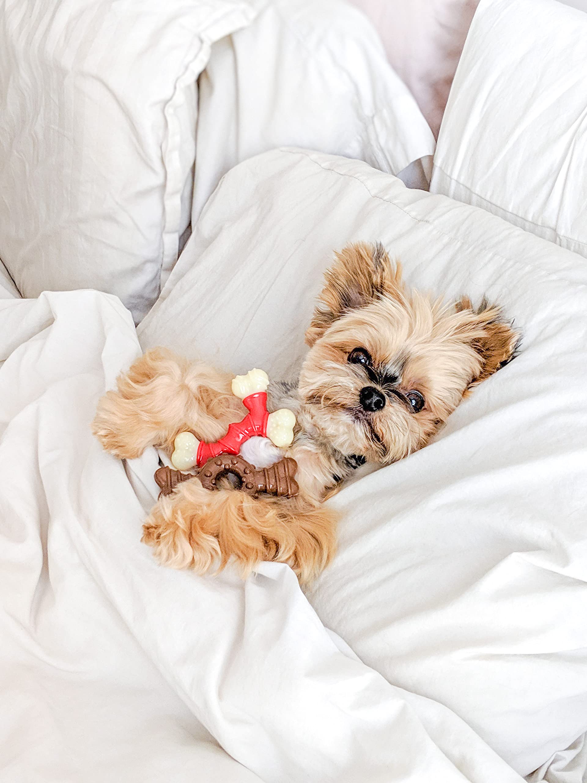 (4 Pack) Nylabone Dura Chew Double Bones, Bacon Flavor - Size Petite/X-Small