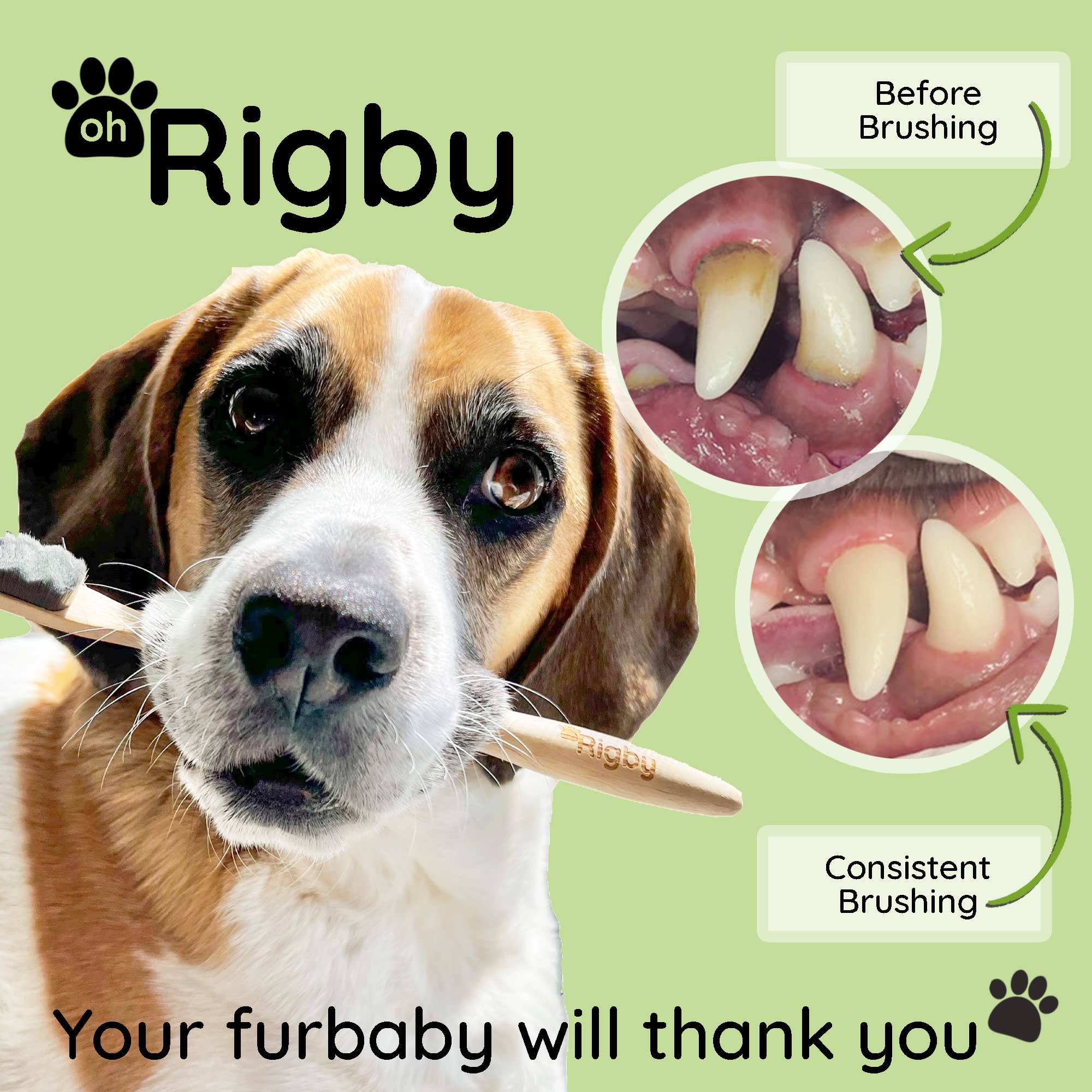 OH RIGBY Dog Toothbrush - 10,000 Ultra-Soft Bristles for Sensitive Teeth - 2 Count