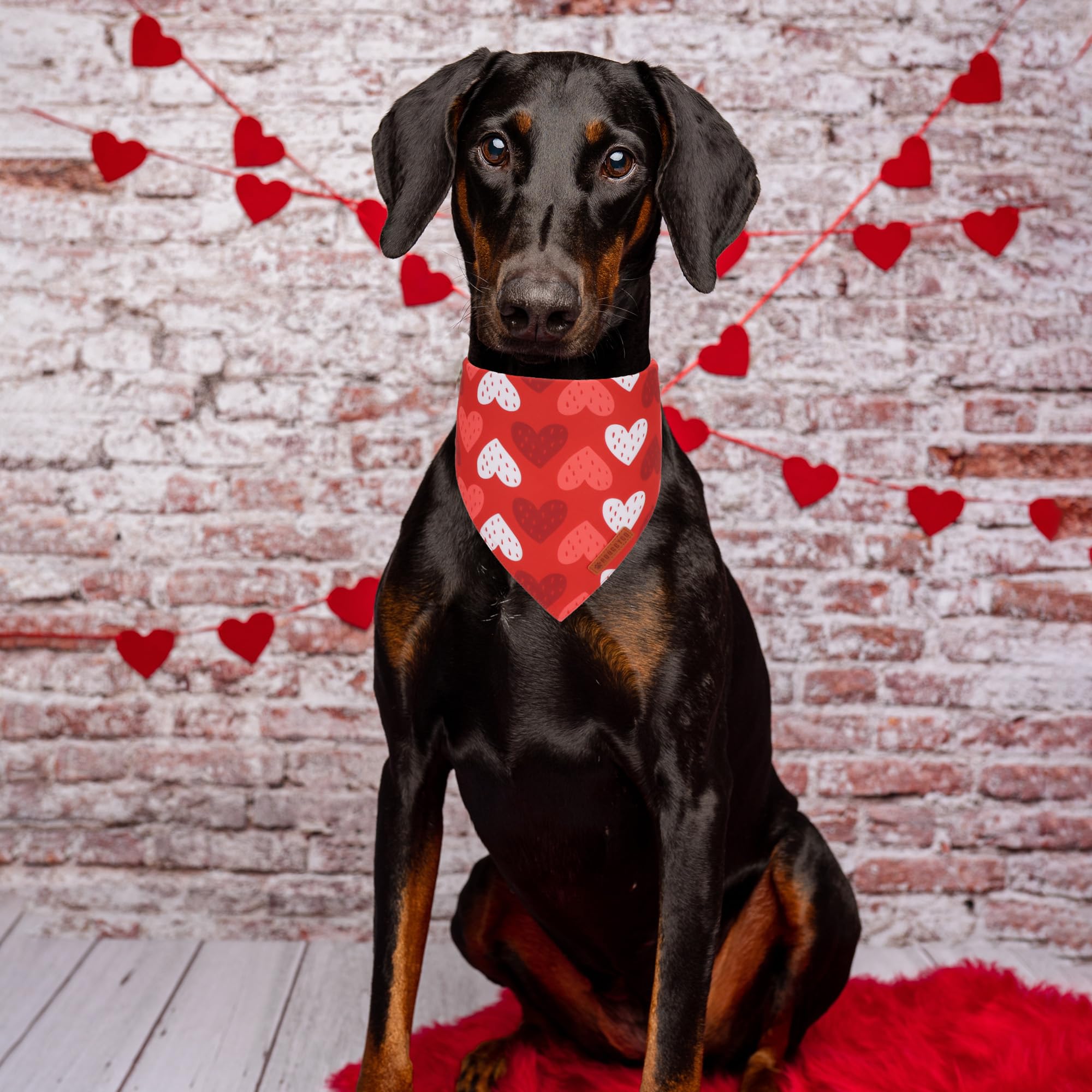 ADOGGYGO Valentine Dog Bandana, Red Blue Heart Love Pet Scarf, Adjustable Fit Pet Valentine Bandanas for Large and Extra Large D