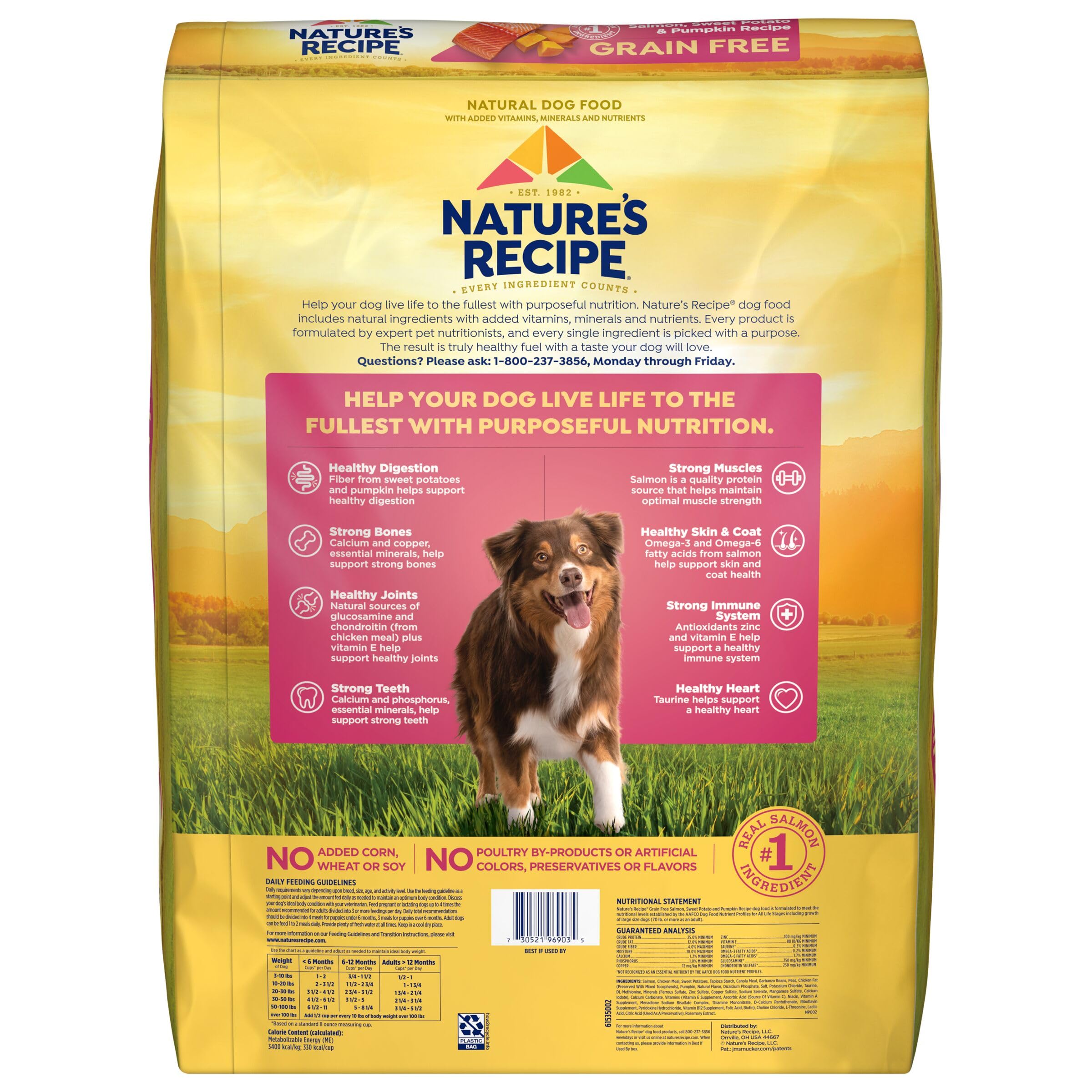 Nature s Recipe Grain Free Salmon, Sweet Potato & Pumpkin Recipe Dry Dog Food, 34 lb. Bag