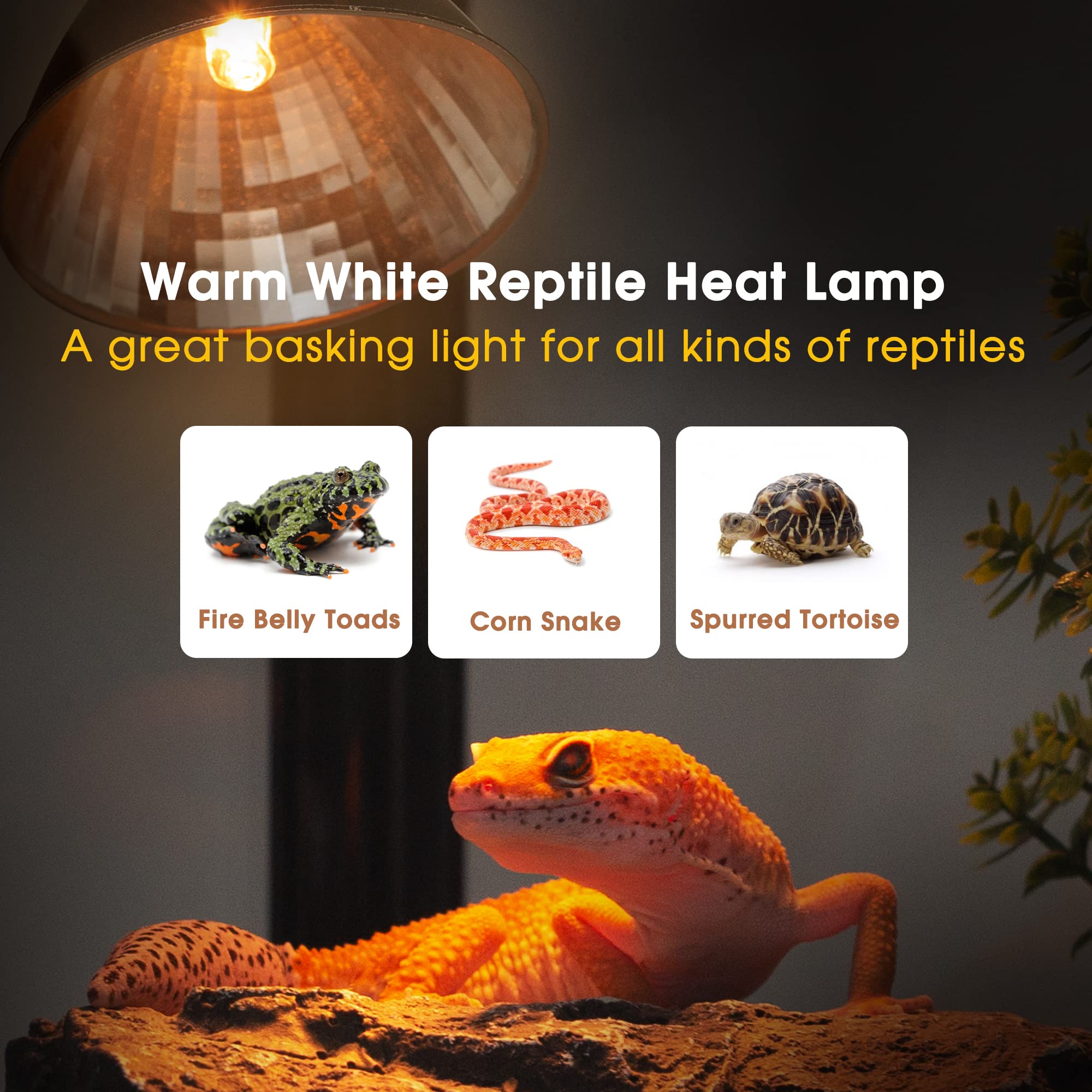 Briignite G9 Heat Lamp Bulbs For Reptile, Mini Reptile Light, Dimmable G9 Mini Heat Bulb Warm White 50W, 2 Pin Base Uva Reptile Heat Lamp, Bearded Dragon Gecko Turtle Lizard, 2 Pack