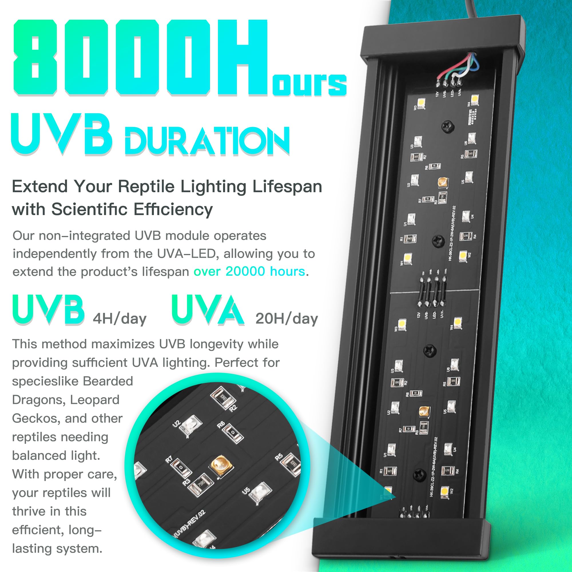 Eckpo Dimmable Led Reptile Uvb Lamp, 8000 Hours Uvb Duration For Much Longer Lifespan, Adjustable 4/8/12-Hour Cycles, Suitable F