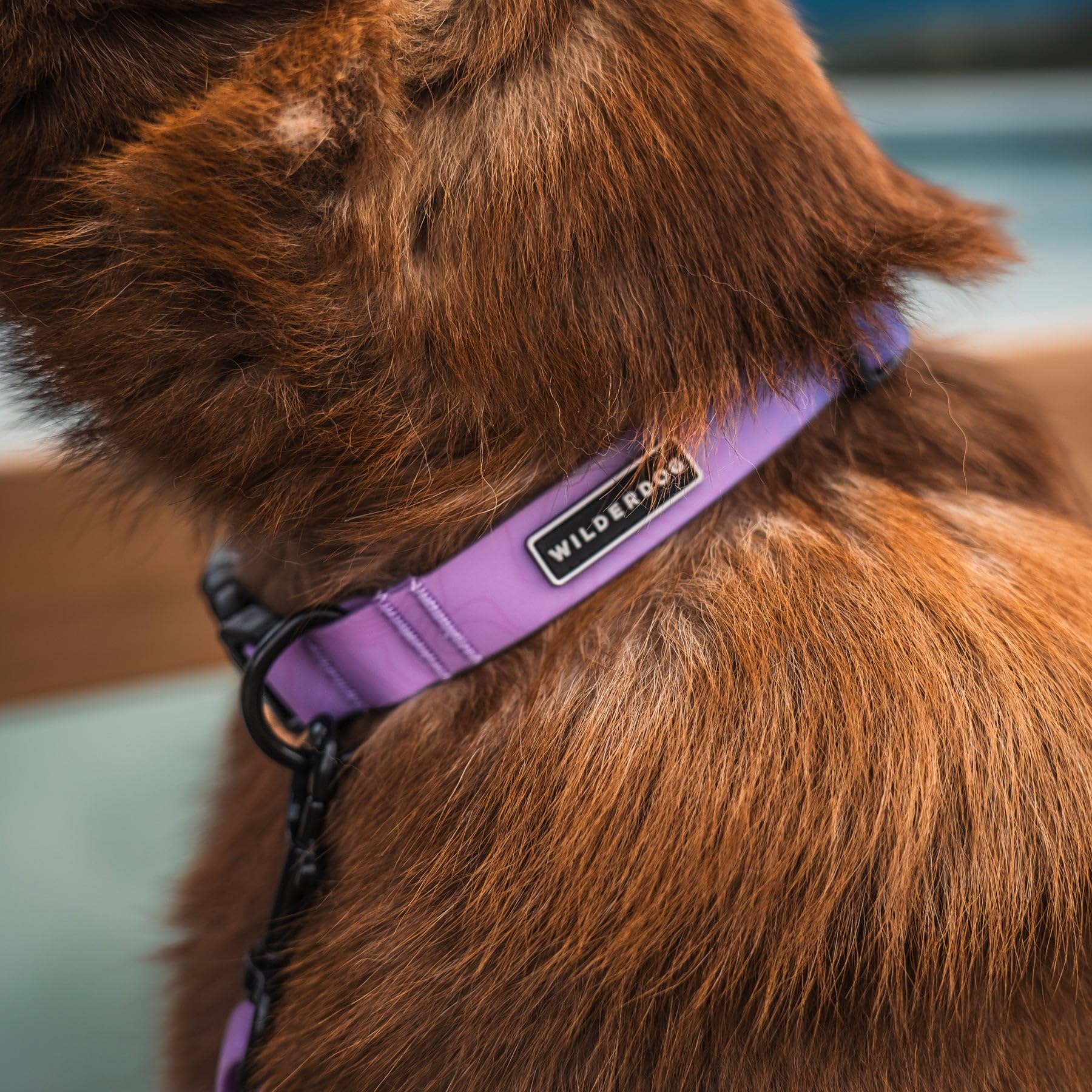 Wilderdog Waterproof Dog Collar - Repels Water & Dirt - Large 17''-24'' - Aurora