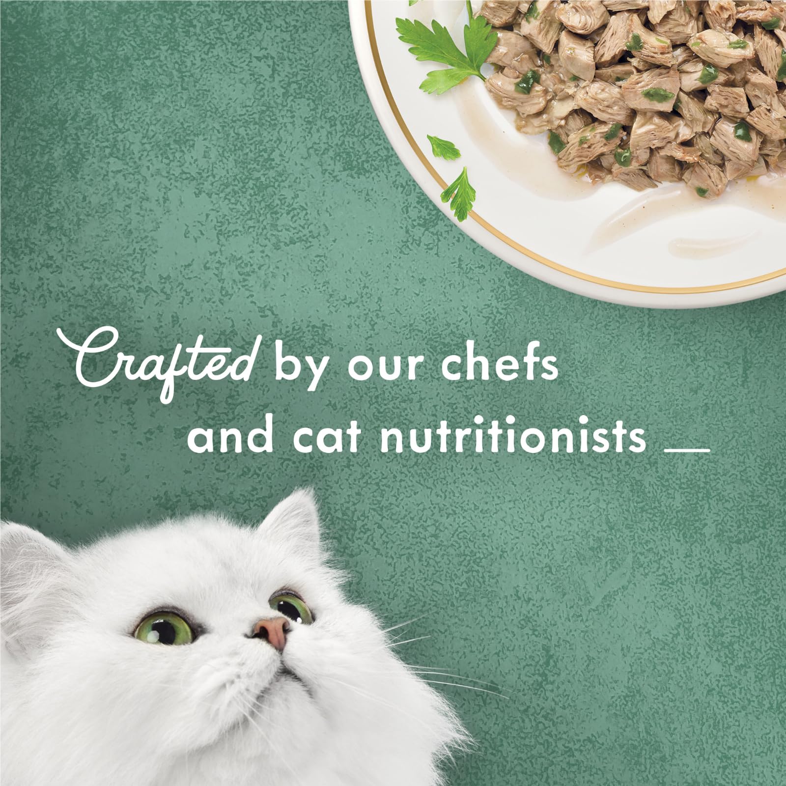 Fancy Feast PURINA Gravy Wet Cat Food, Medleys White Meat Chicken Florentine with Garden Greens - 3 oz. Can (Pack of 24)