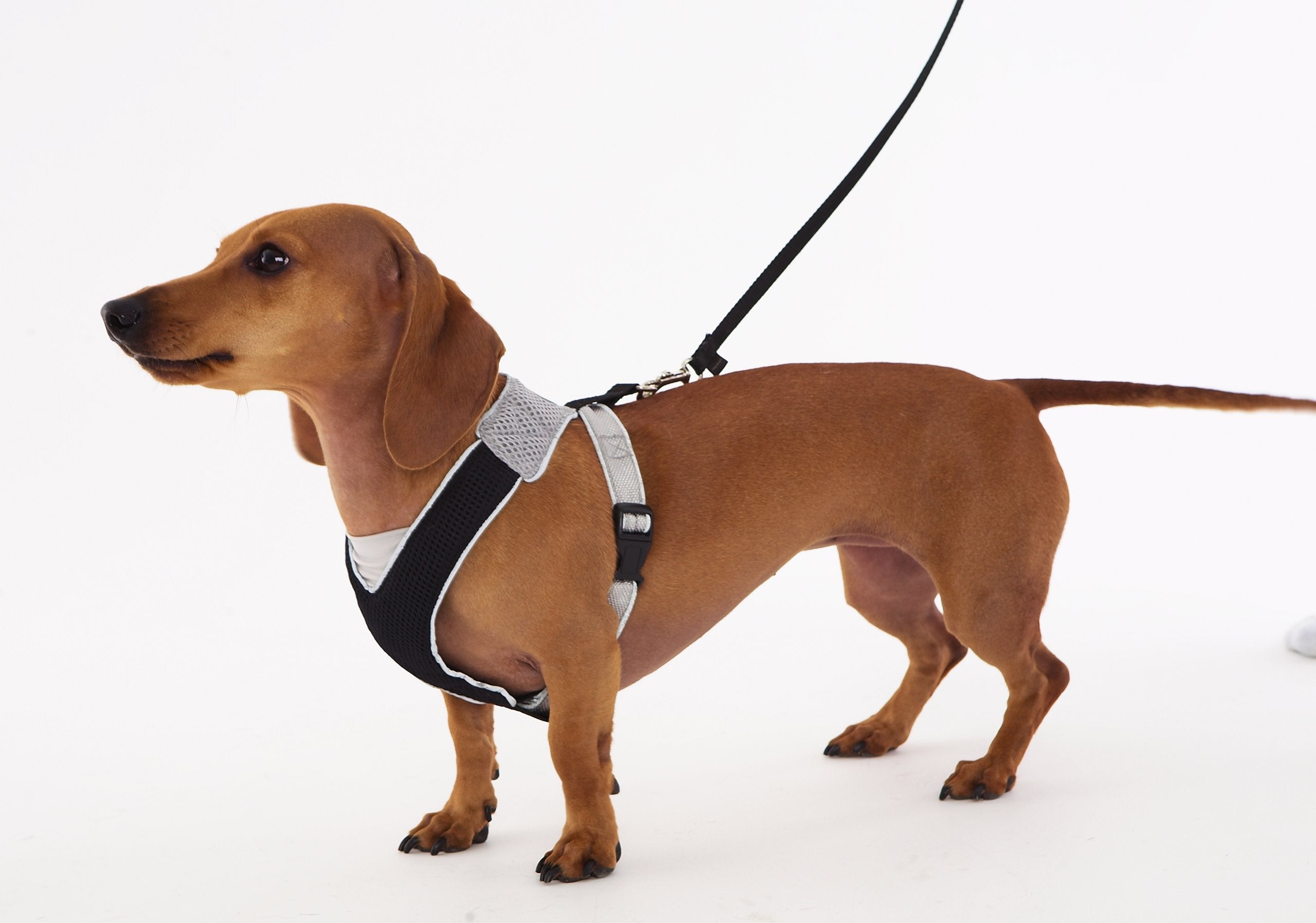 Doggles V Mesh Dog Harness, Pink/Gray, Medium