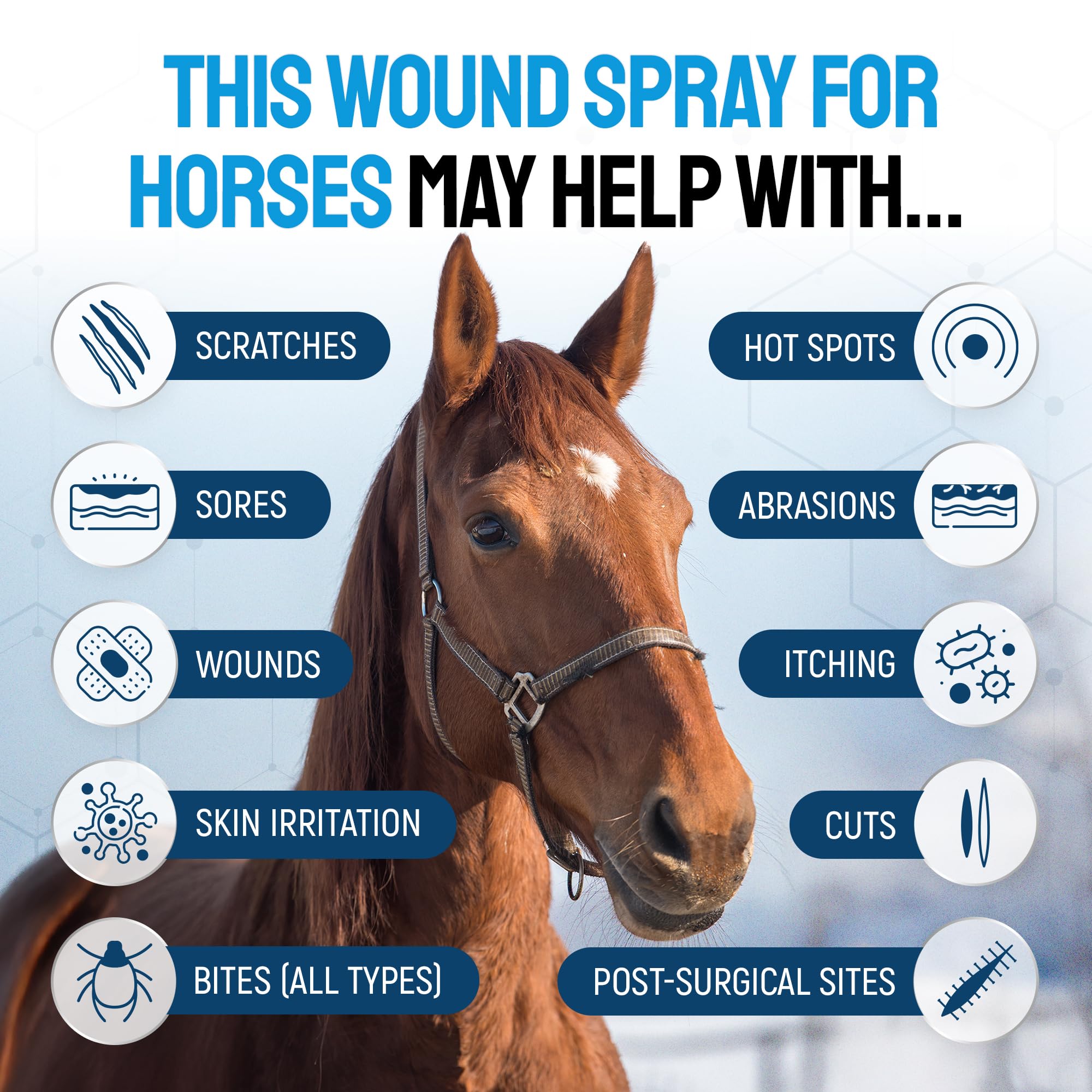 Horse Wound Care Spray with Silver - Wounds, Scratches, Cuts, Abrasions, Itching, Hot Spots, Skin Irritation - First Aid Solutio