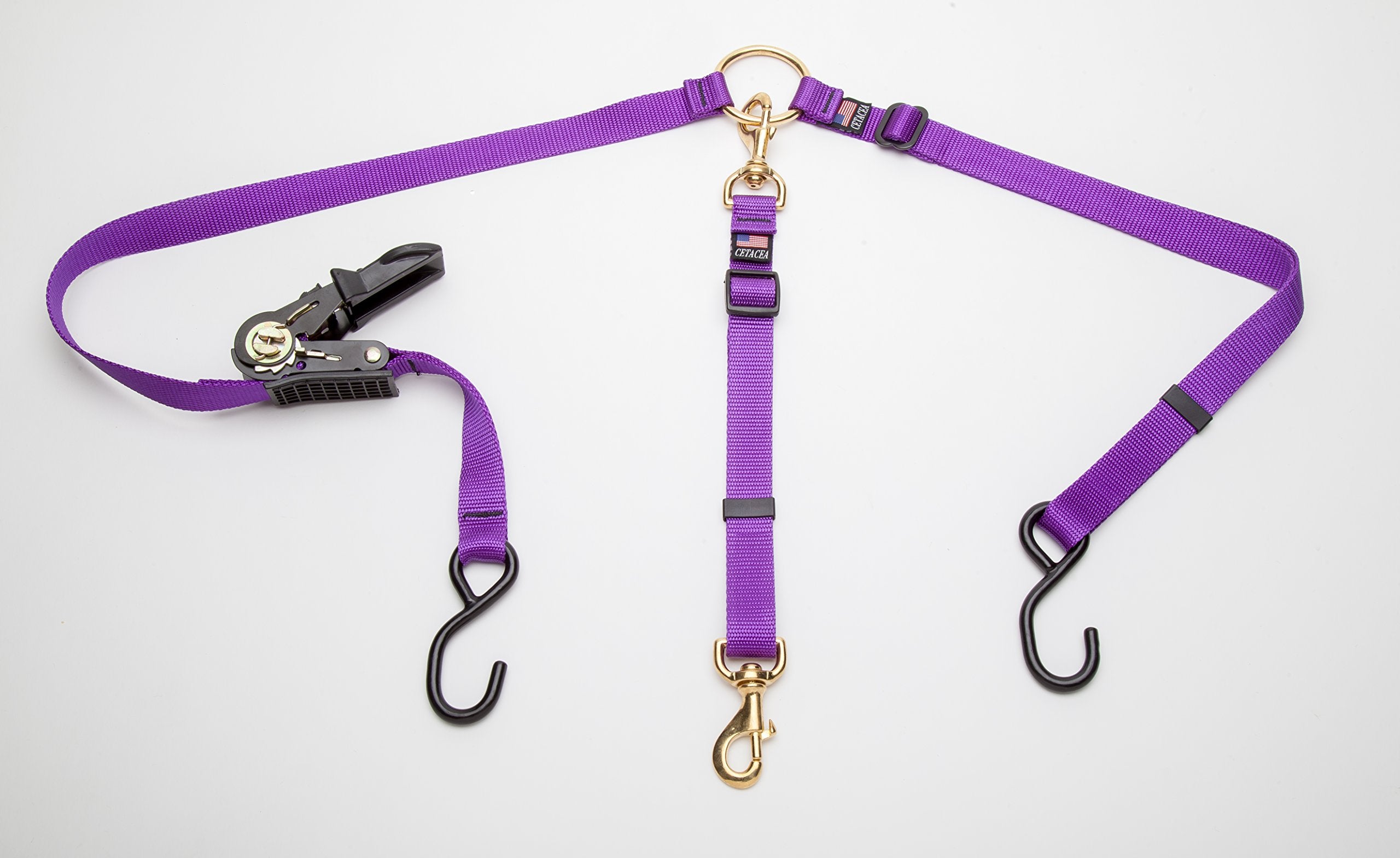 Cetacea Pet Truck Bed Tether With Ratchet Tightening Hardware, One Size, Purple