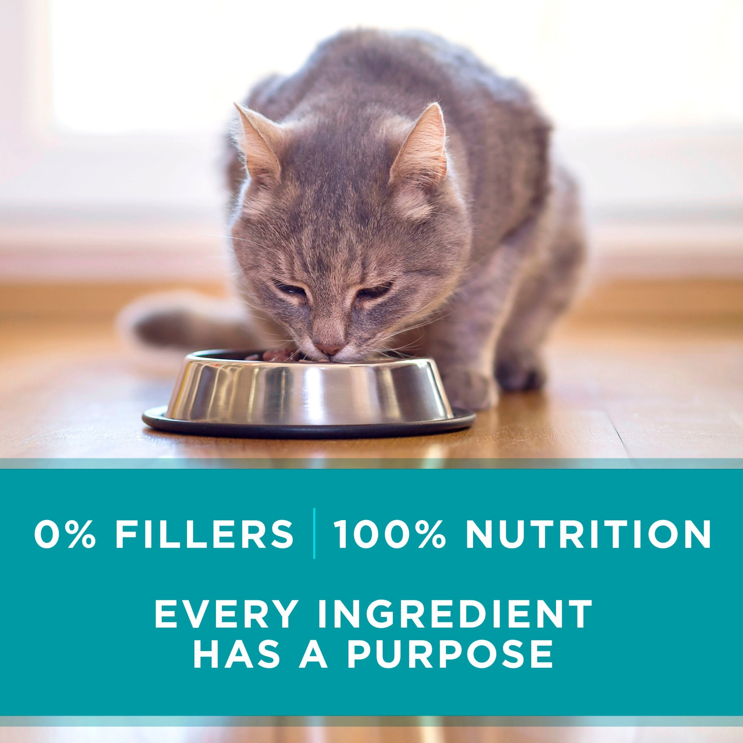 Purina ONE Natural, High Protein Cat Food, Salmon and Trout Recipe in Sauce - (Pack of 24) 3 oz. Pull-Top Cans
