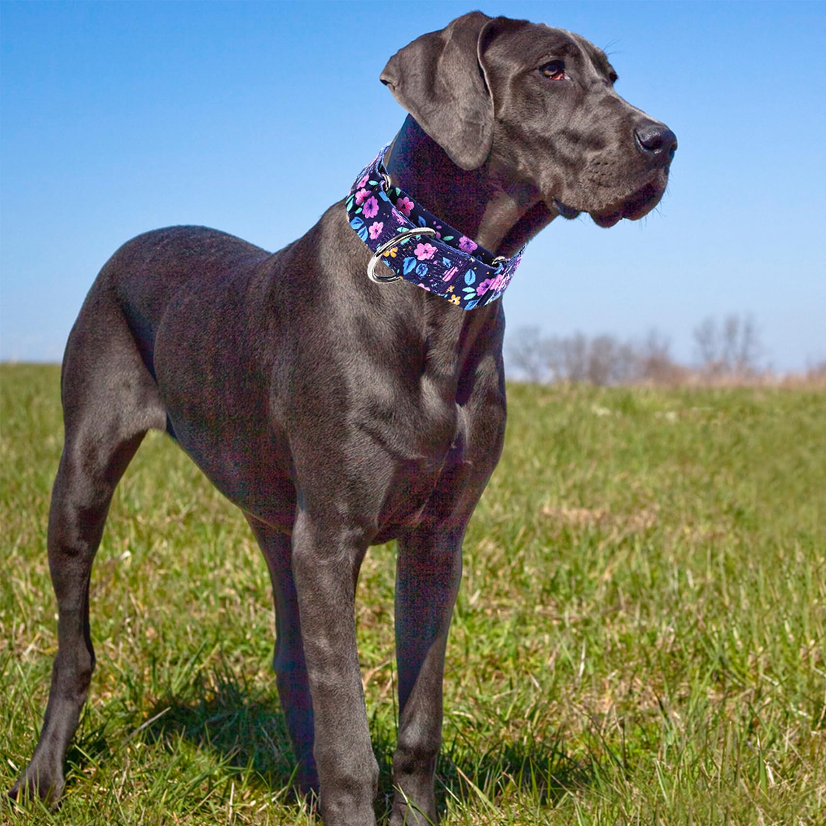 Martingale Dog Collars For Large Dogs, 1.5 Inches Wide And Thick Dog Collars With Bull Flower Design, Perfect Collar For Dogs Wi
