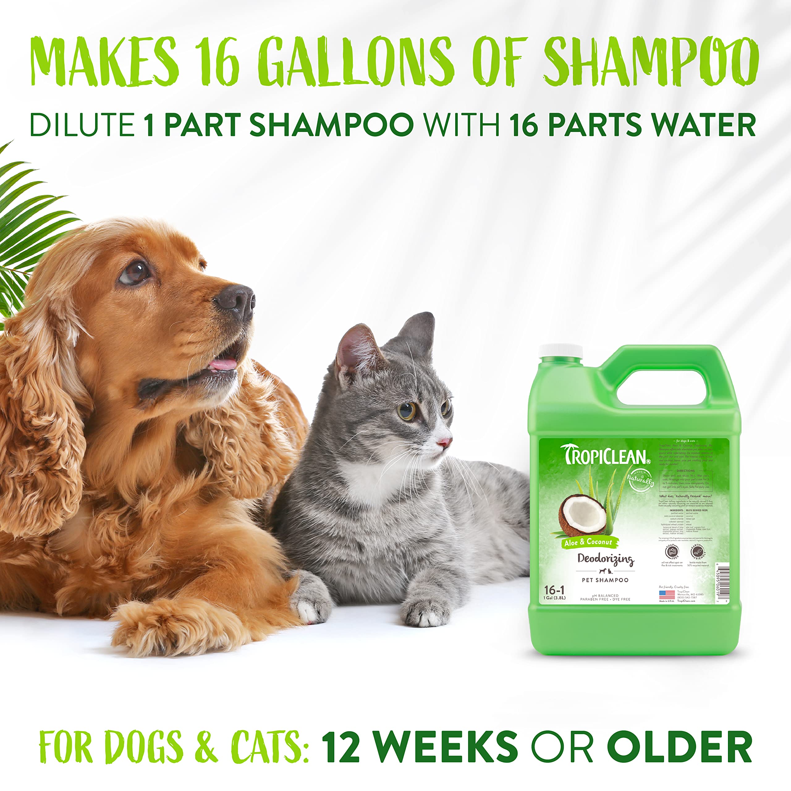 Tropiclean Aloe & Coconut Deodorizing Dog Shampoo For Smelly Dogs | Odor Control Shampoo For Stinky Dogs | Natural Pet Shampoo Derived From Natural Ingredients | Cat Friendly | Made In The Usa | 1 Gal