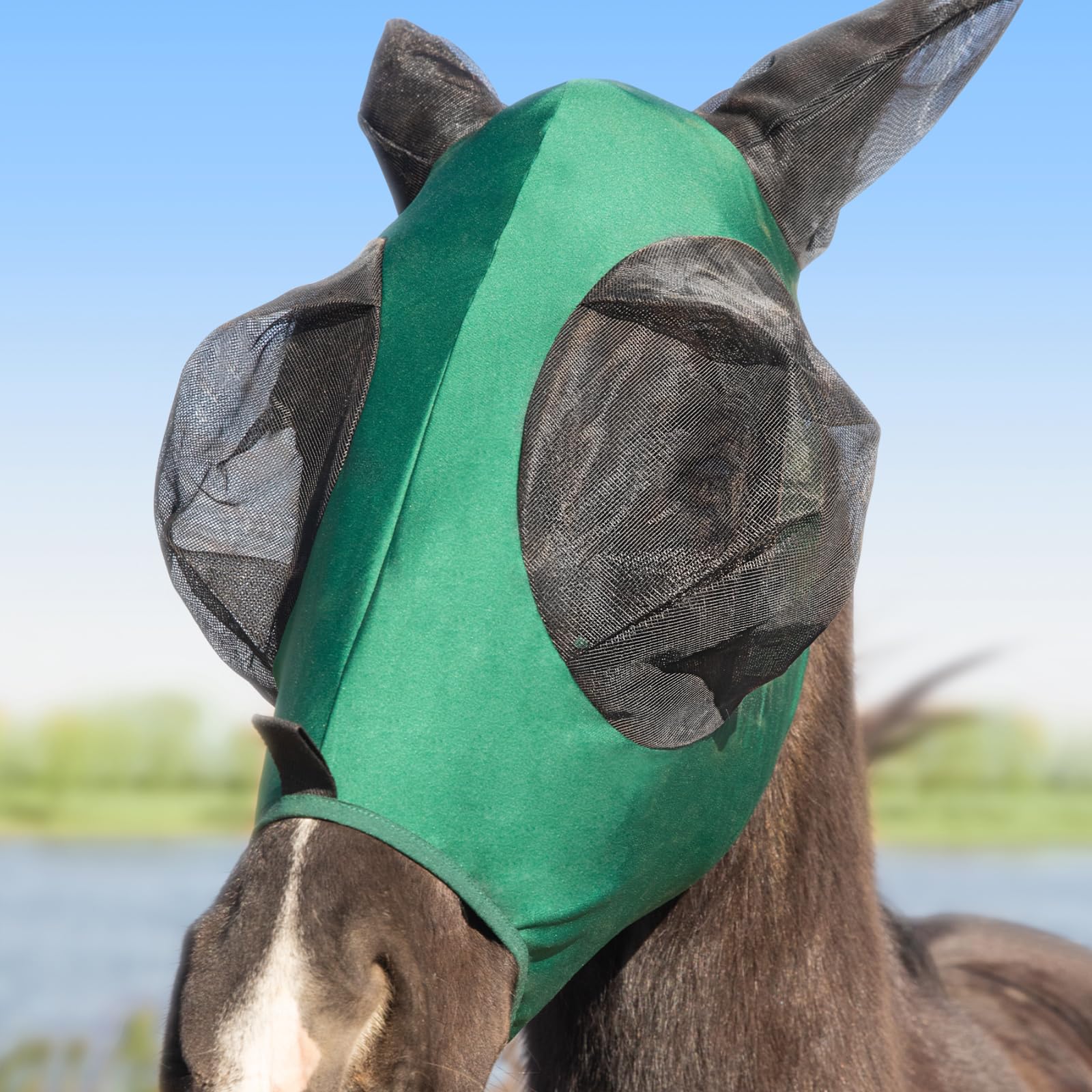 Stretchy Menjo Outdoors Horse Fly Mask with Ears, UV Protection for Horses, Breathable Comfortable Forest Green Fly Mask Suitabl