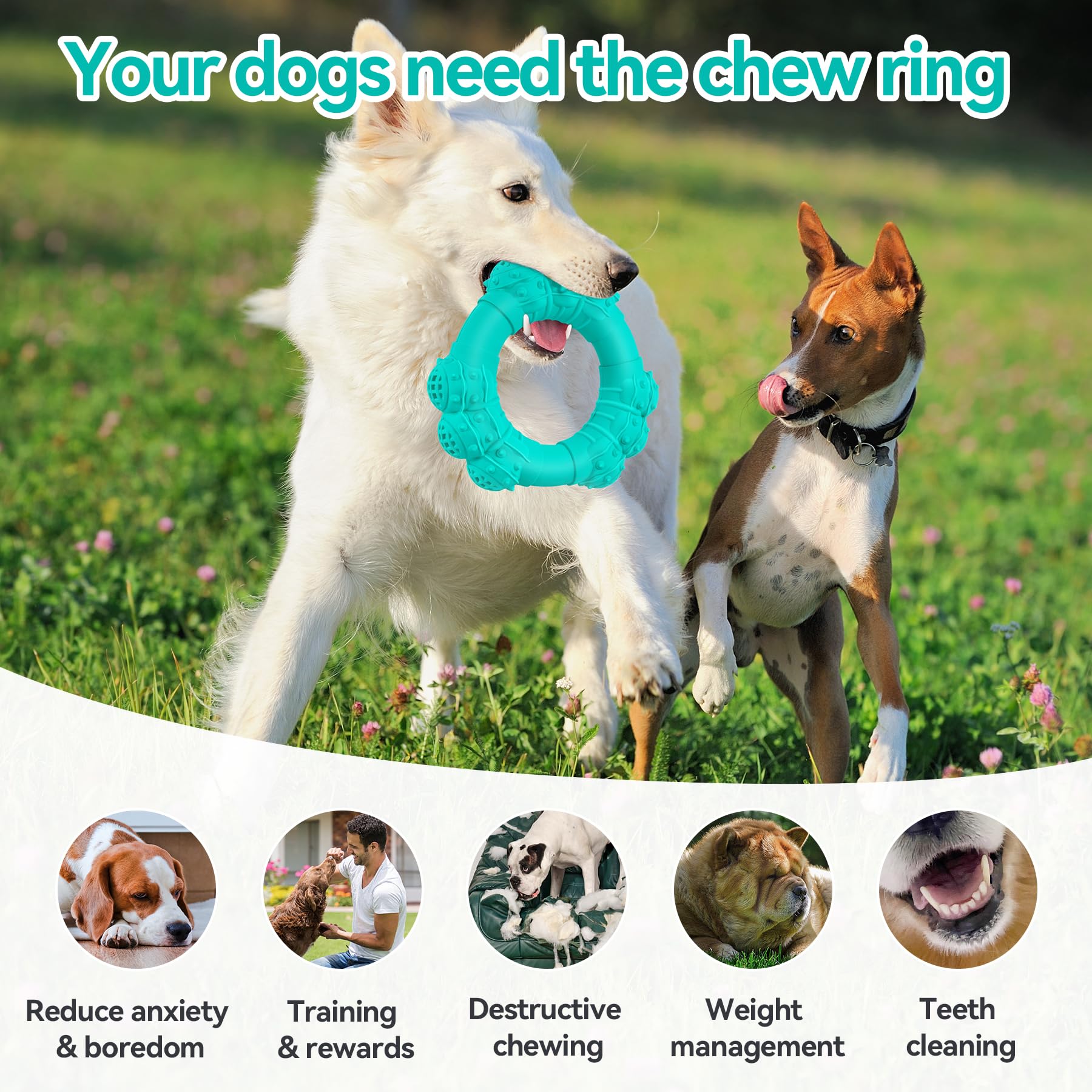 Daoziji Indestructible Dog Chews - Super Duty Chew Toys For Aggressive Dogs, Puppy Teething Relief & Interactive Play