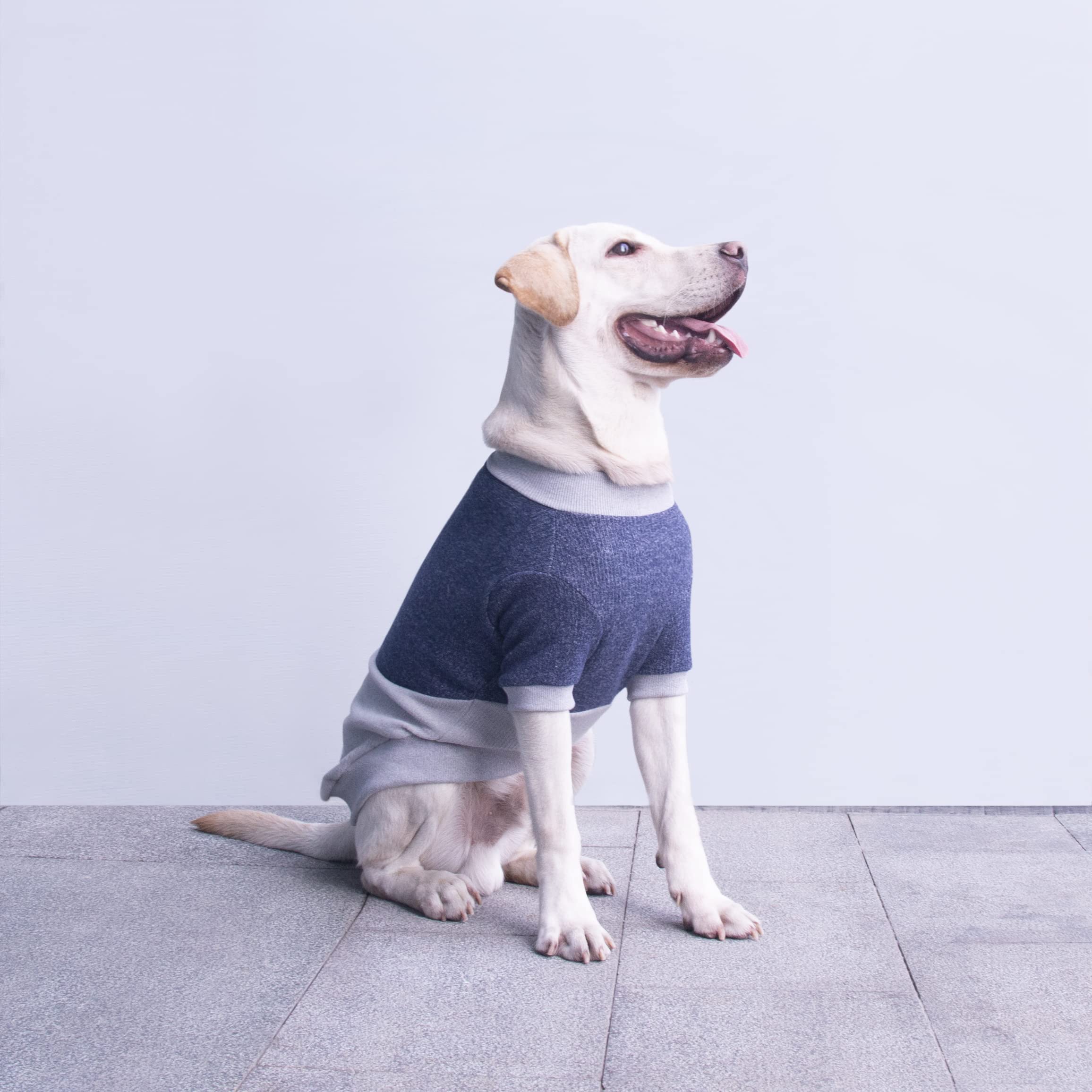 Arunners Extra Large Dog Sweaters Warm Clothes Pullover Sweatshirts For Labrador Rottweiler Great Dane, Blue Grey, 8X-Large