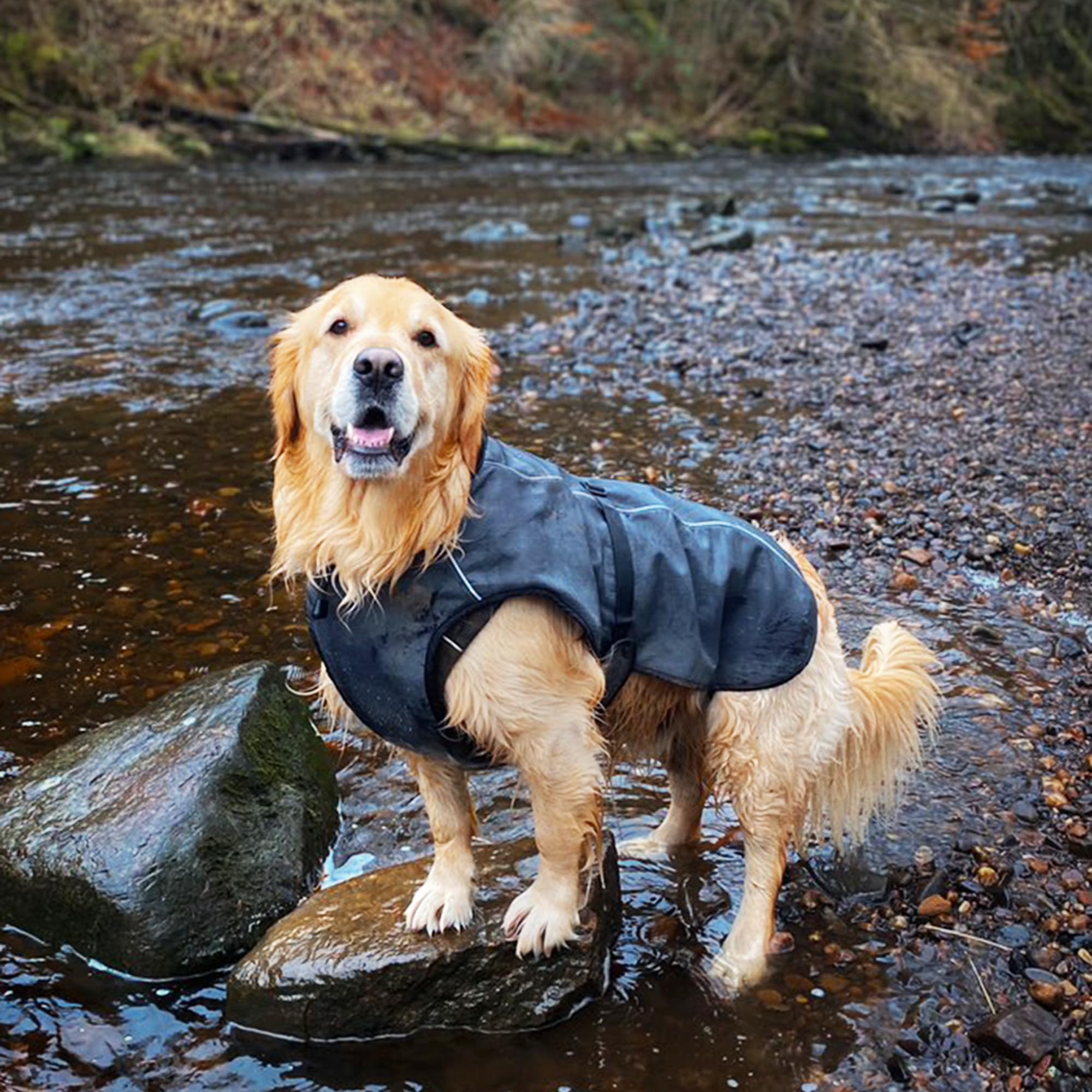 Lucolove Dog Winter Coat - Waterproof Insulated Self-Heating Jacket For Cold Weather - Hairfree Easy On/Off Dog Coat For Small To Large Breeds - Lightweight, All Weather Rain Jacket (L)