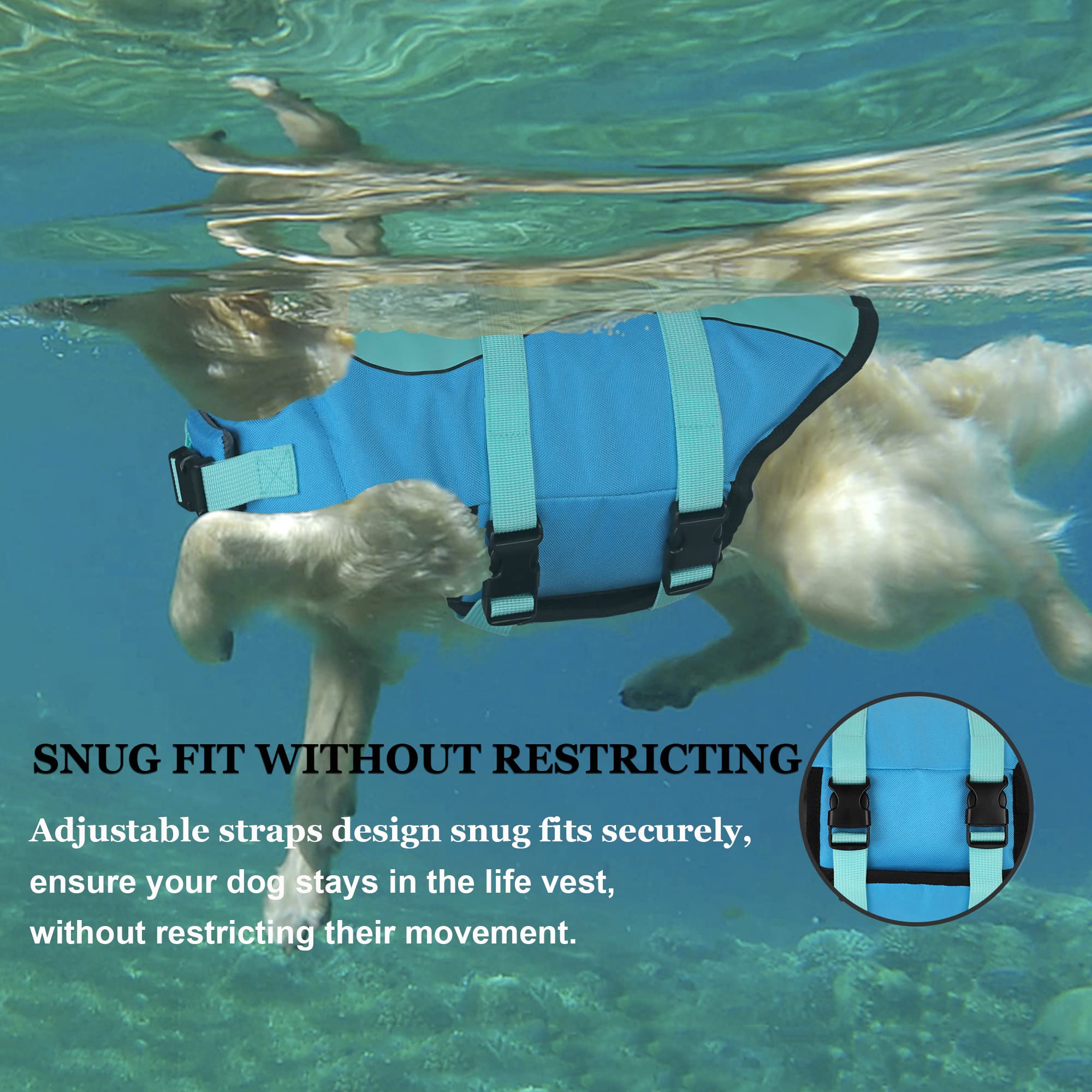 Dogcheer Dog Life Jacket - Adjustable Shark Vest for Swimming, Small, Pool Blue, 100% Polyester, Superior Buoyancy, Rescue Handle