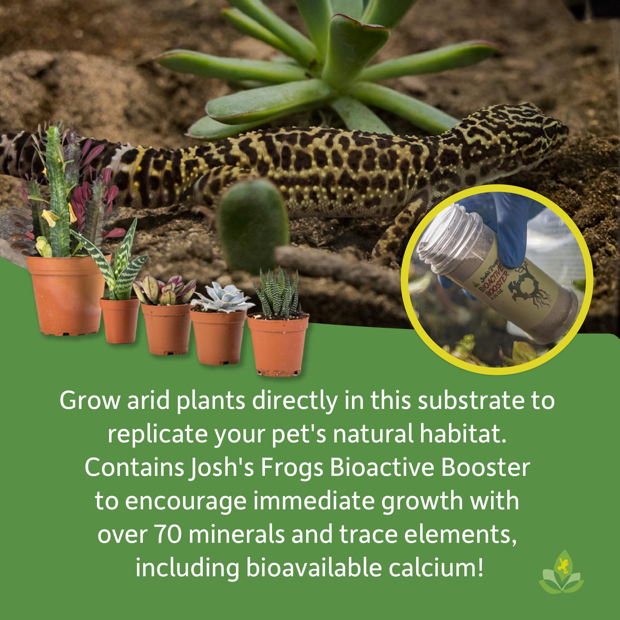 Josh'S Frogs Biobedding Desert Bioactive Substrate (4 Quart)
