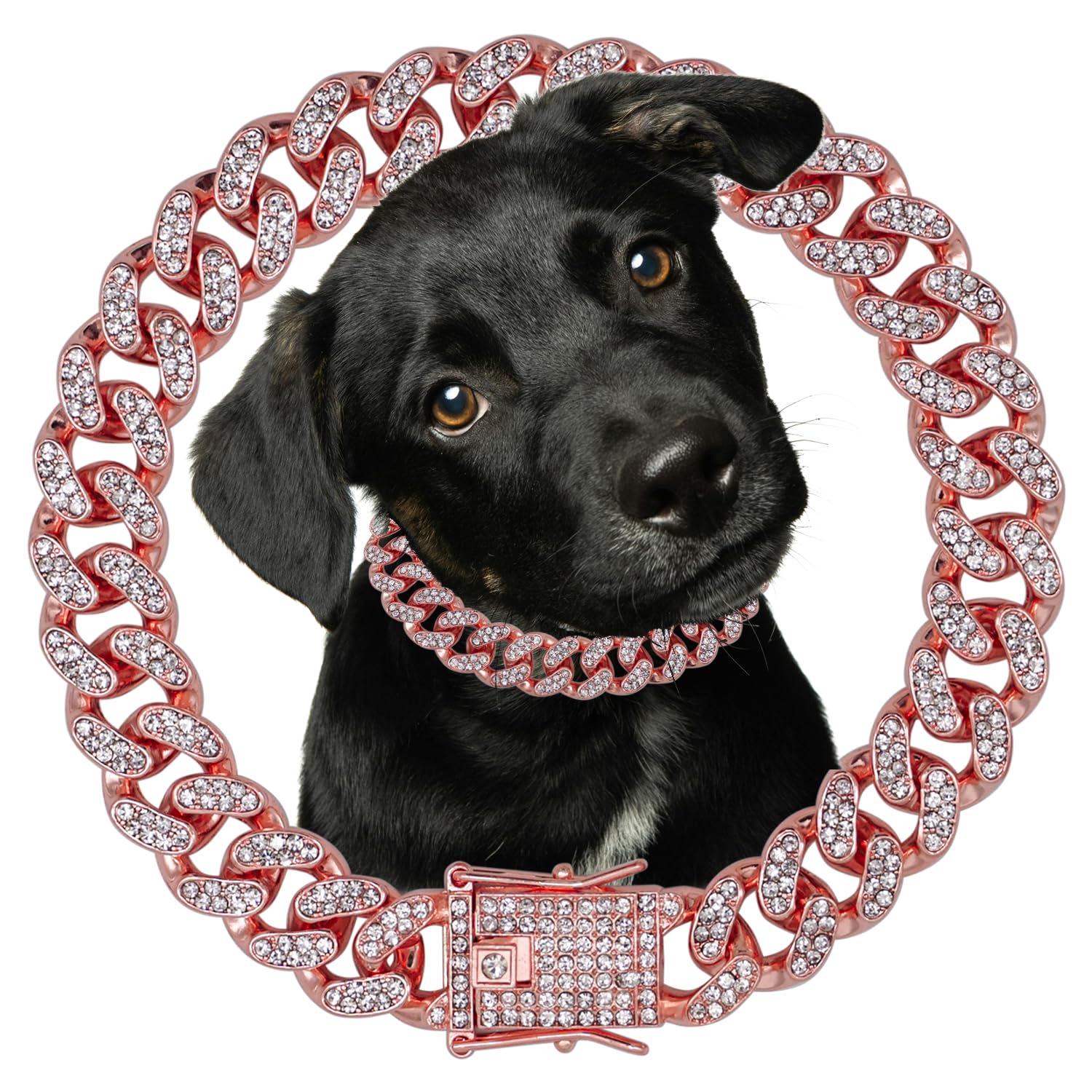 Dog Chain Diamond Collar Rose Gold Walking Metal Chain 12 Mm Wide Necklace With Secure Buckle Pet Cuban Style Collar Jewelry Acc