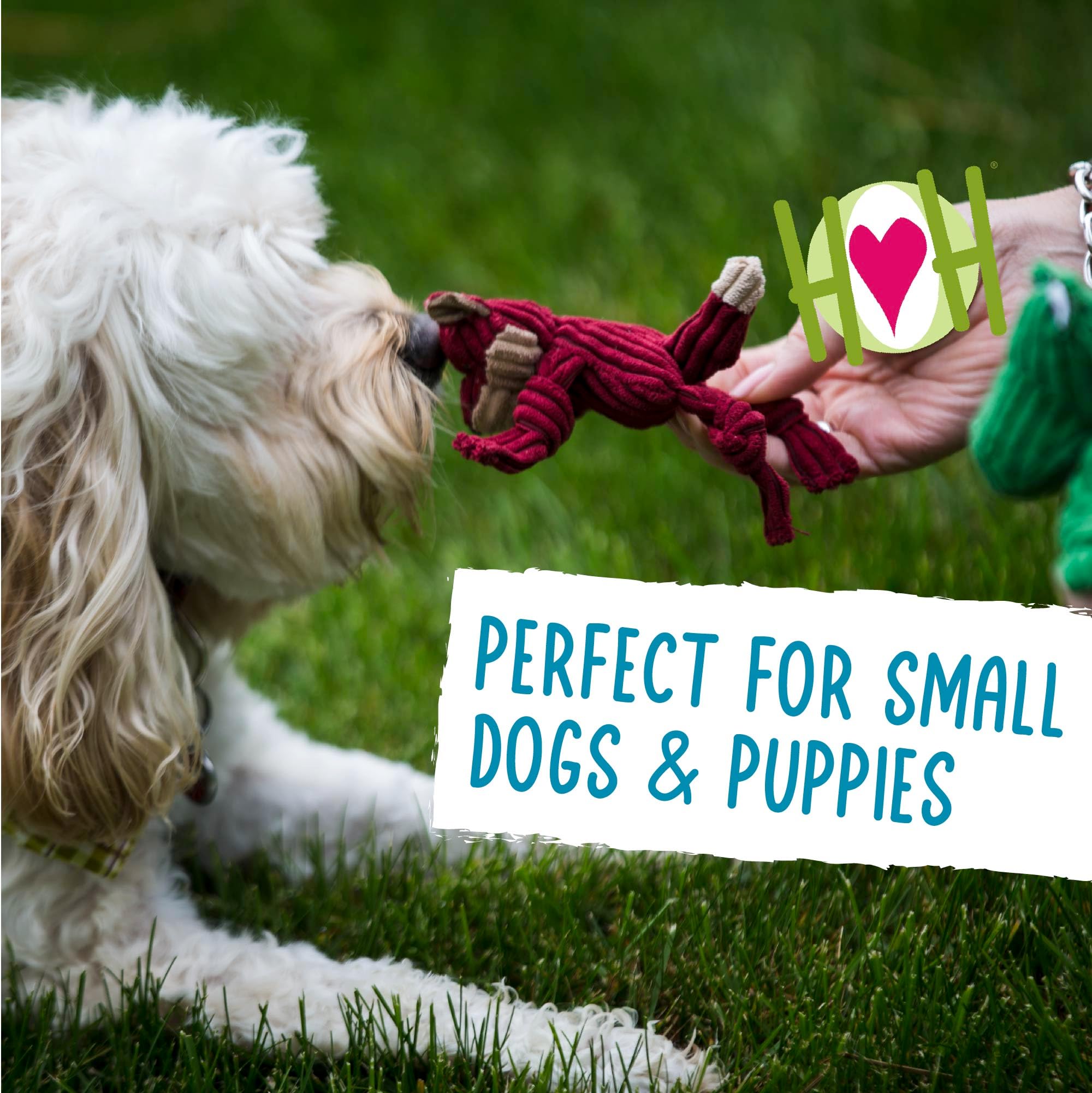 Hugglehounds Knottie Plush Dog Toy - Dog Stuffed Animal Toy, Squeaky Puppy Toys, For Small & Medium Dogs, Durable Plush To Keep