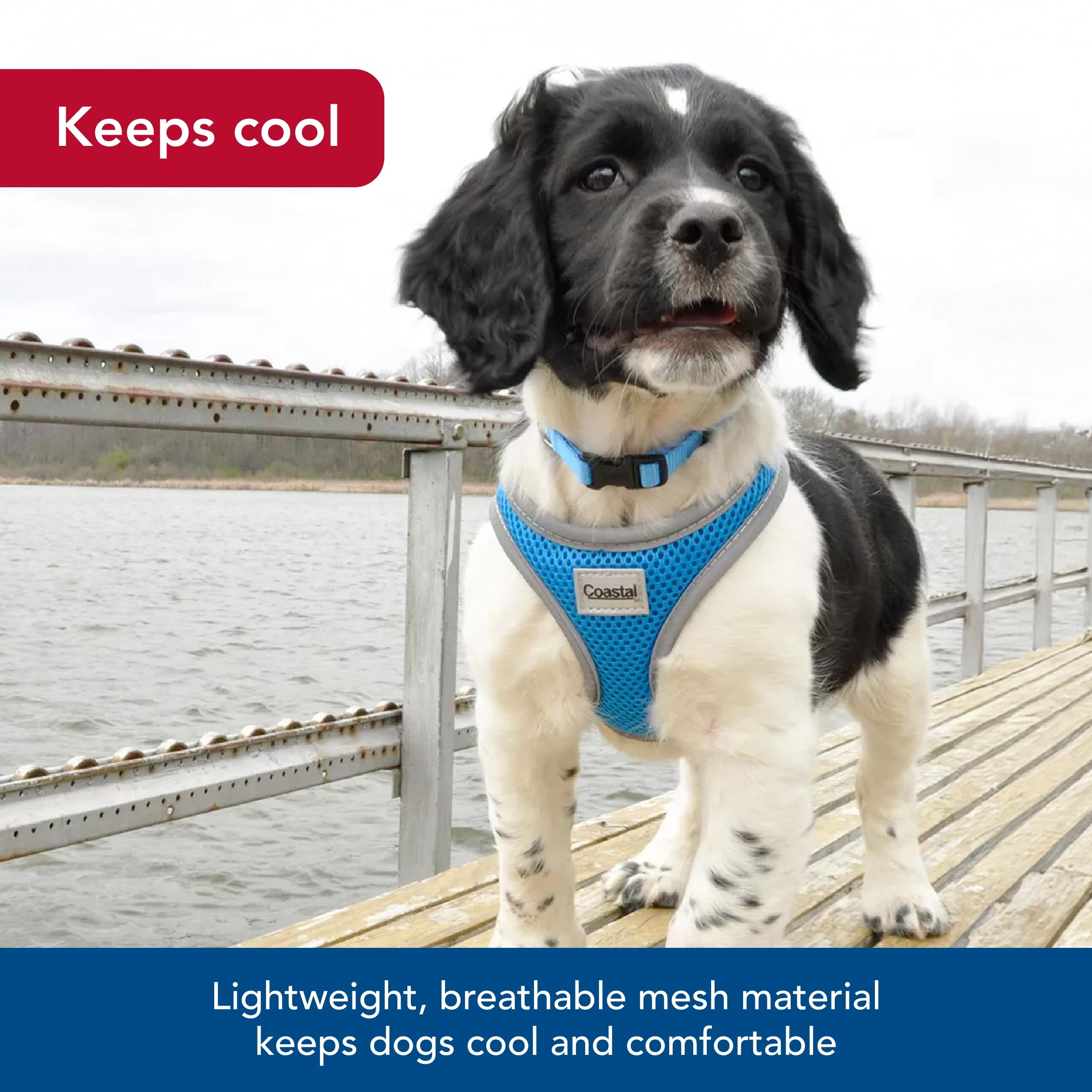 Coastal Pet Comfort Soft Reflective Wrap Adjustable Dog Harness - No-Pull Dog Harness For Small & Large Dogs - Blue Lagoon - 5/8' X 16'–19'