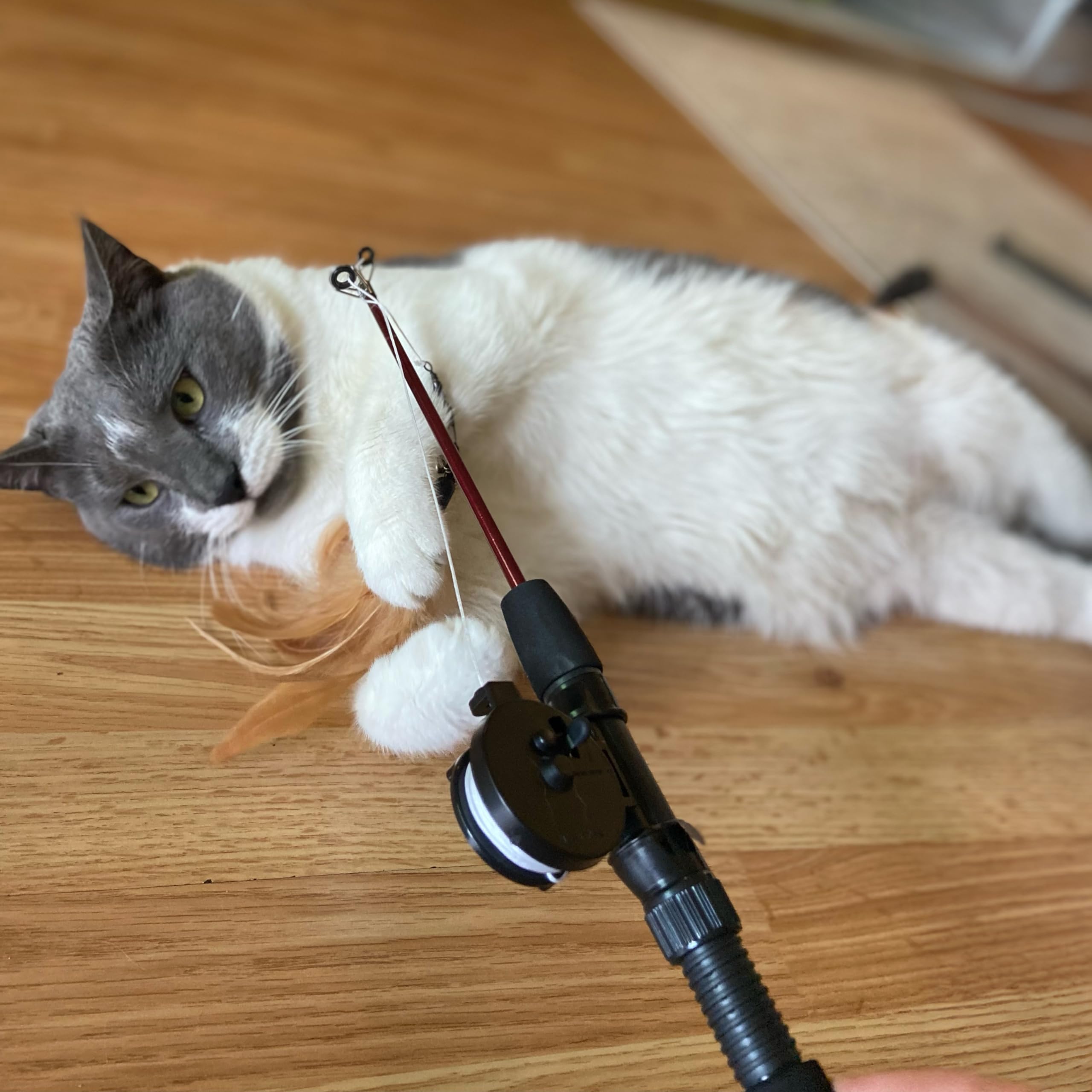 Spot Fishing Rod 'N Reel Kitty Teaser - Cat Toy Fishing Pole Casts A Line Over 7 Feet With Working Reel Locks In Line When You Make Your Catch, Feather End Teases And Entices Cats To Pounce And Chase