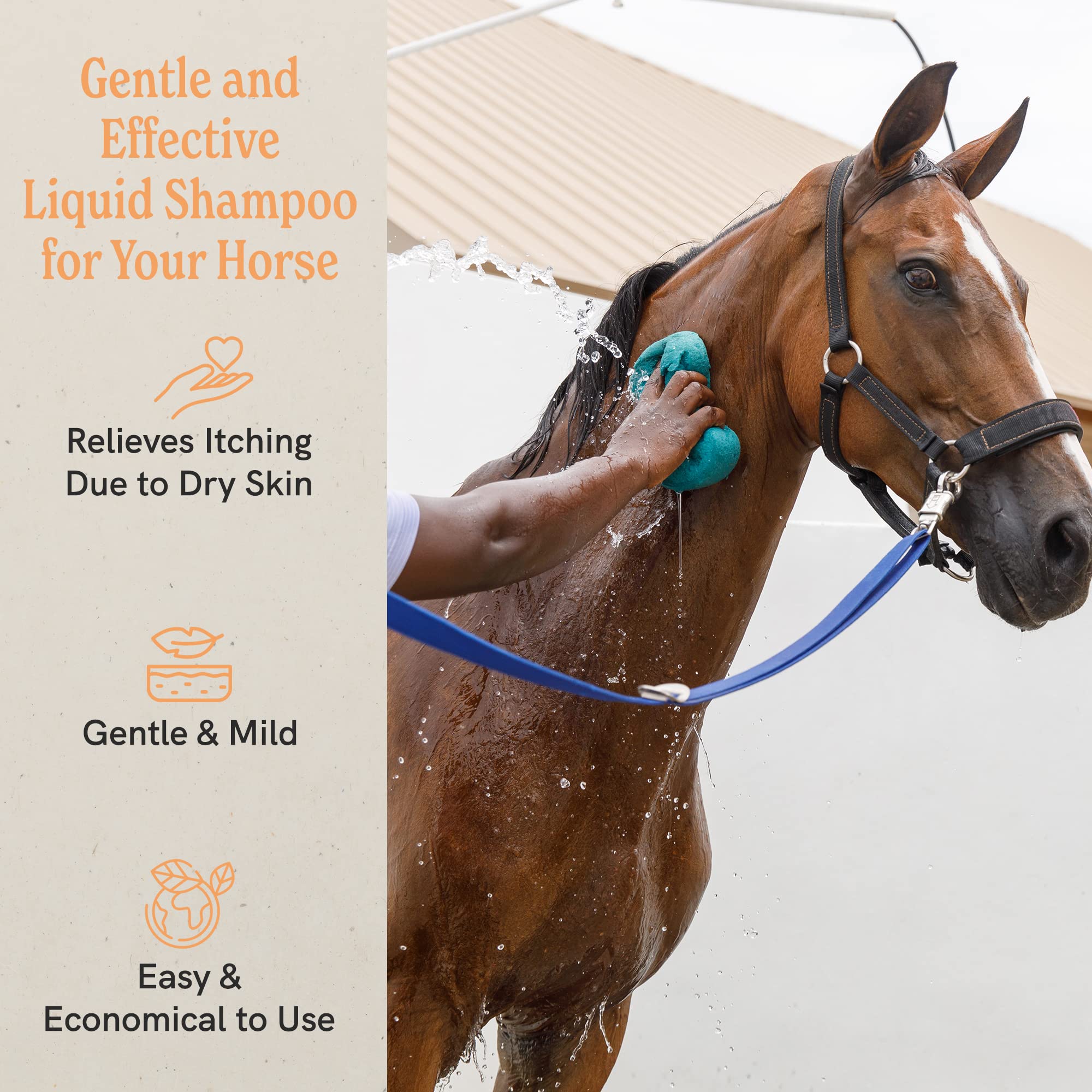 Jrliggett'S Botanical Horse Liquid Shampoo For Sensitive Skin | Hypoallergenic Biodegradable Shampoo Formula For Horses | 100% E
