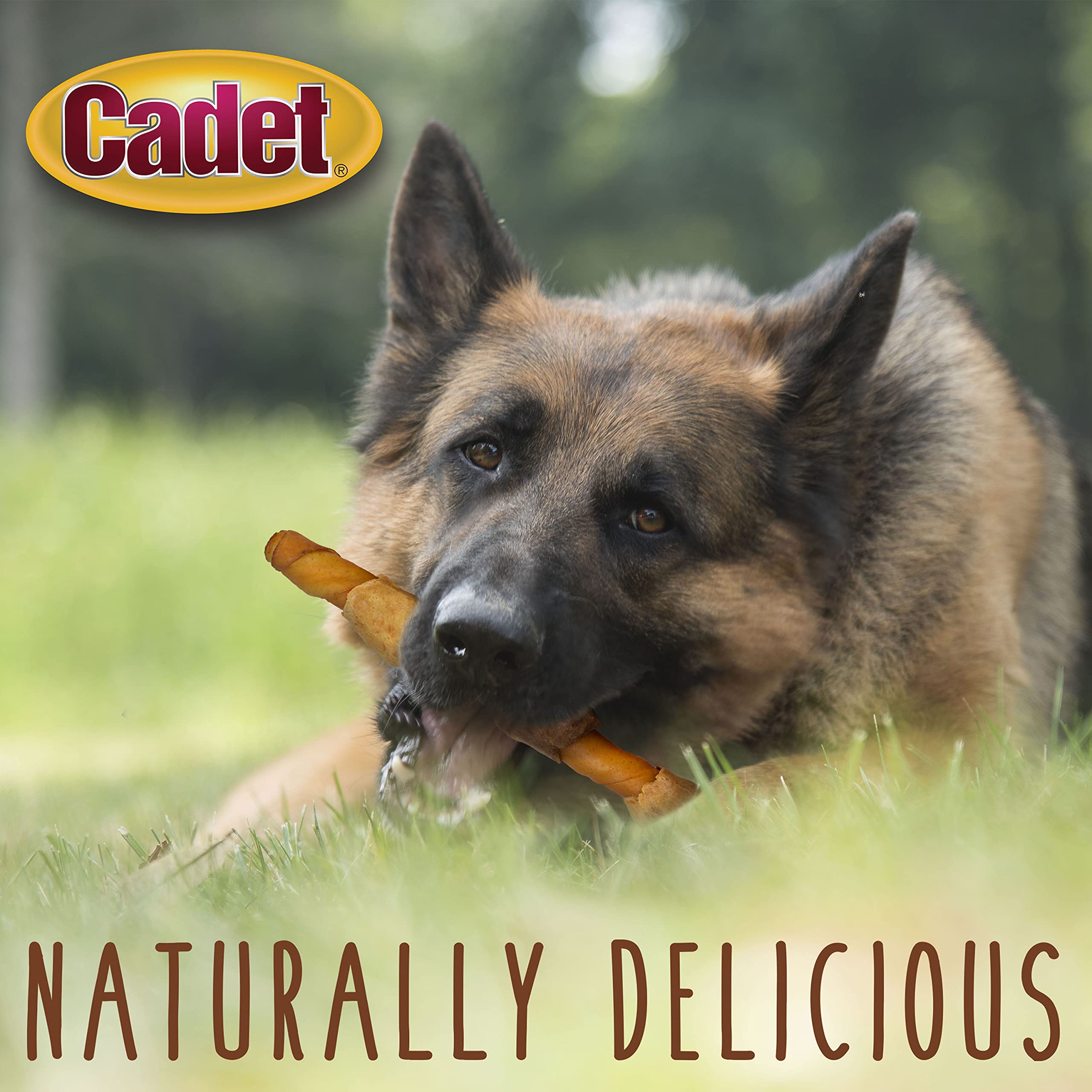 Cadet Gourmet Shish Kabob Dog Treats for Large Dogs, Healthy & Natural Chicken & Sweet Potato Chew Sticks, Pork Hide, Extra Larg