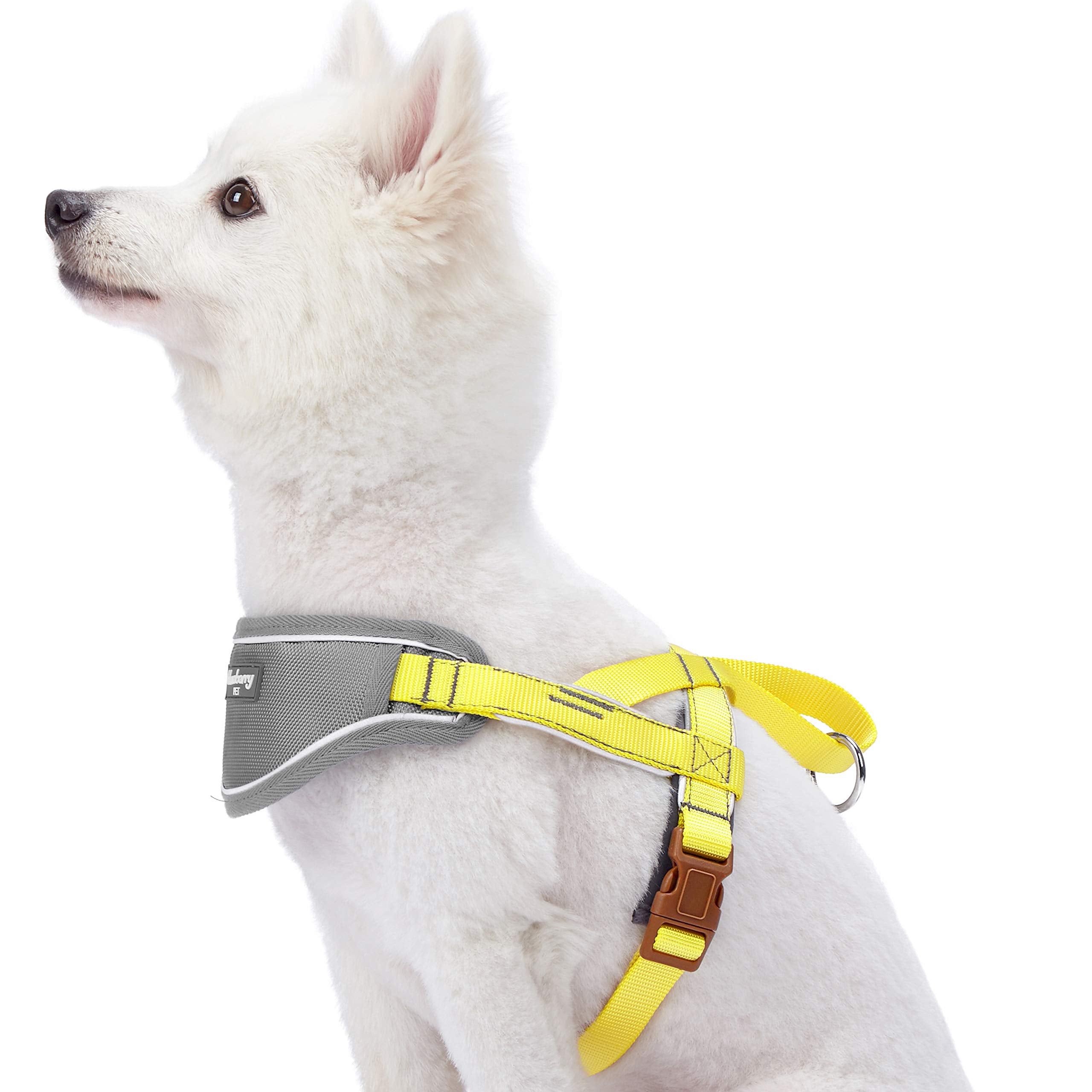 Blueberry Pet 8 Colors Soft & Comfy 3M Reflective Strips Padded Dog Harness Vest, Chest Girth 20.5'' - 25.5'', Sunshine Yellow,