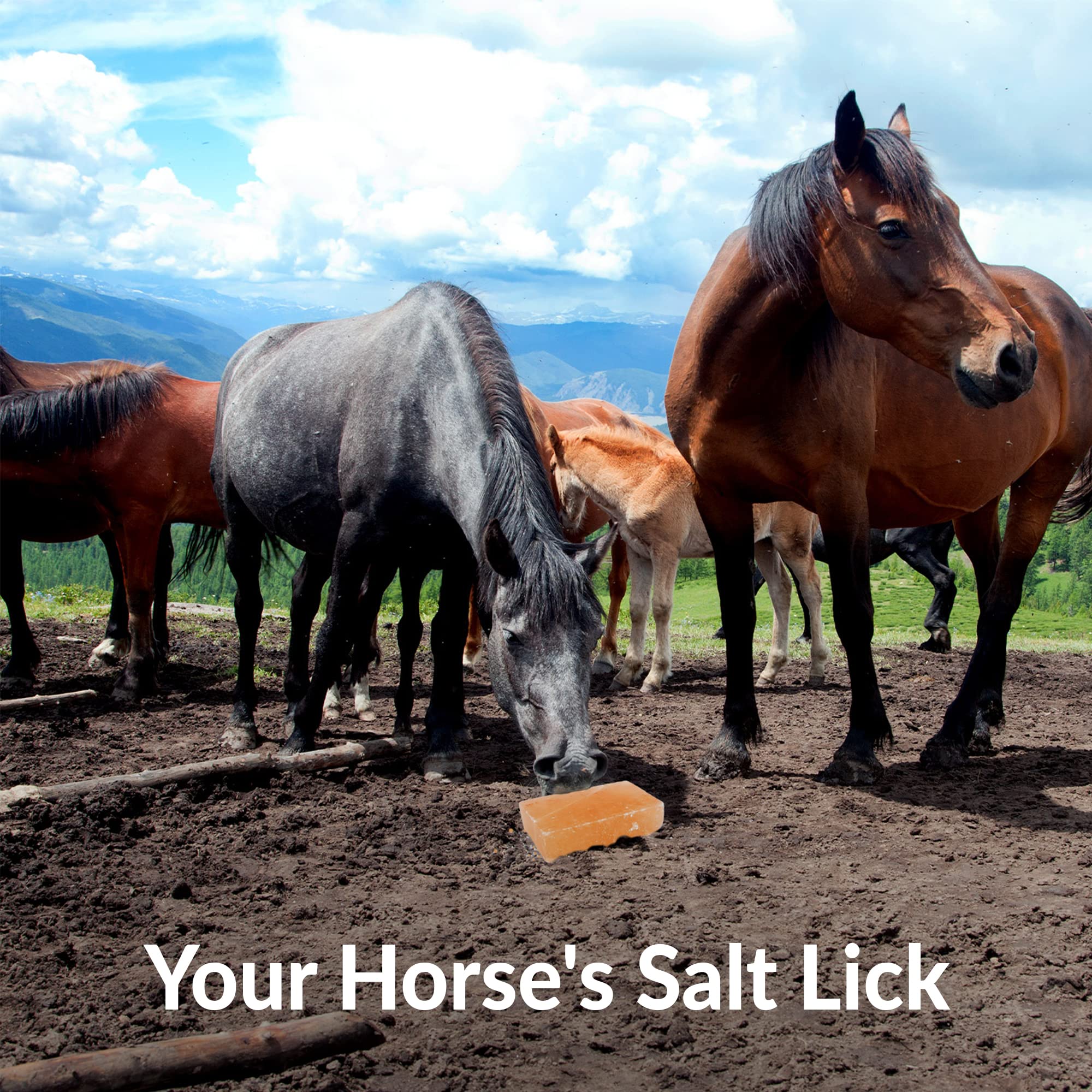 Himalayan Nature Horse Licking Salt, Animal Licking Mineral Salt Brick - 5 Lbs