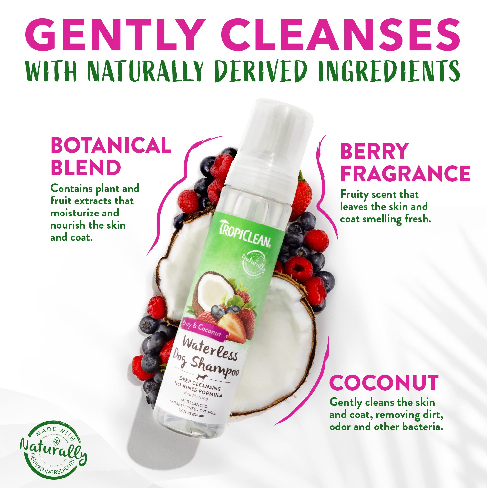 Tropiclean No Rinse Waterless Dog Shampoo | Detangling And Deodorizing Dry Shampoo For Smelly Pets | Moisturizes Dry Skin | Usa