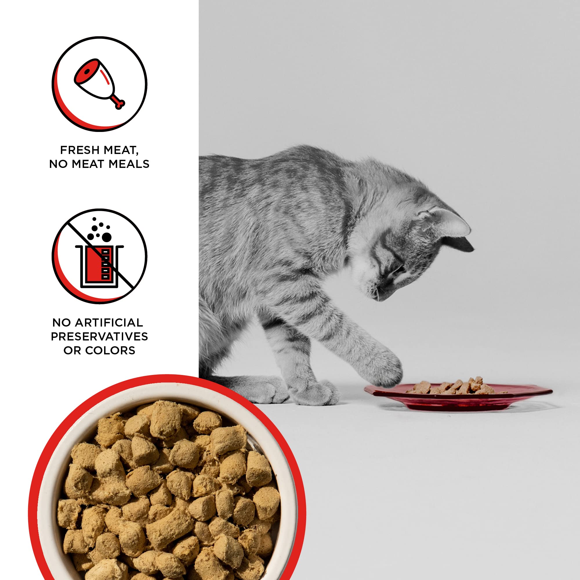 BIXBI Rawbble Freeze Dried Cat Food, Beef Recipe, 10 oz - 97% Meat and Organs, No Fillers - Pantry-Friendly Raw Cat Food for Mea