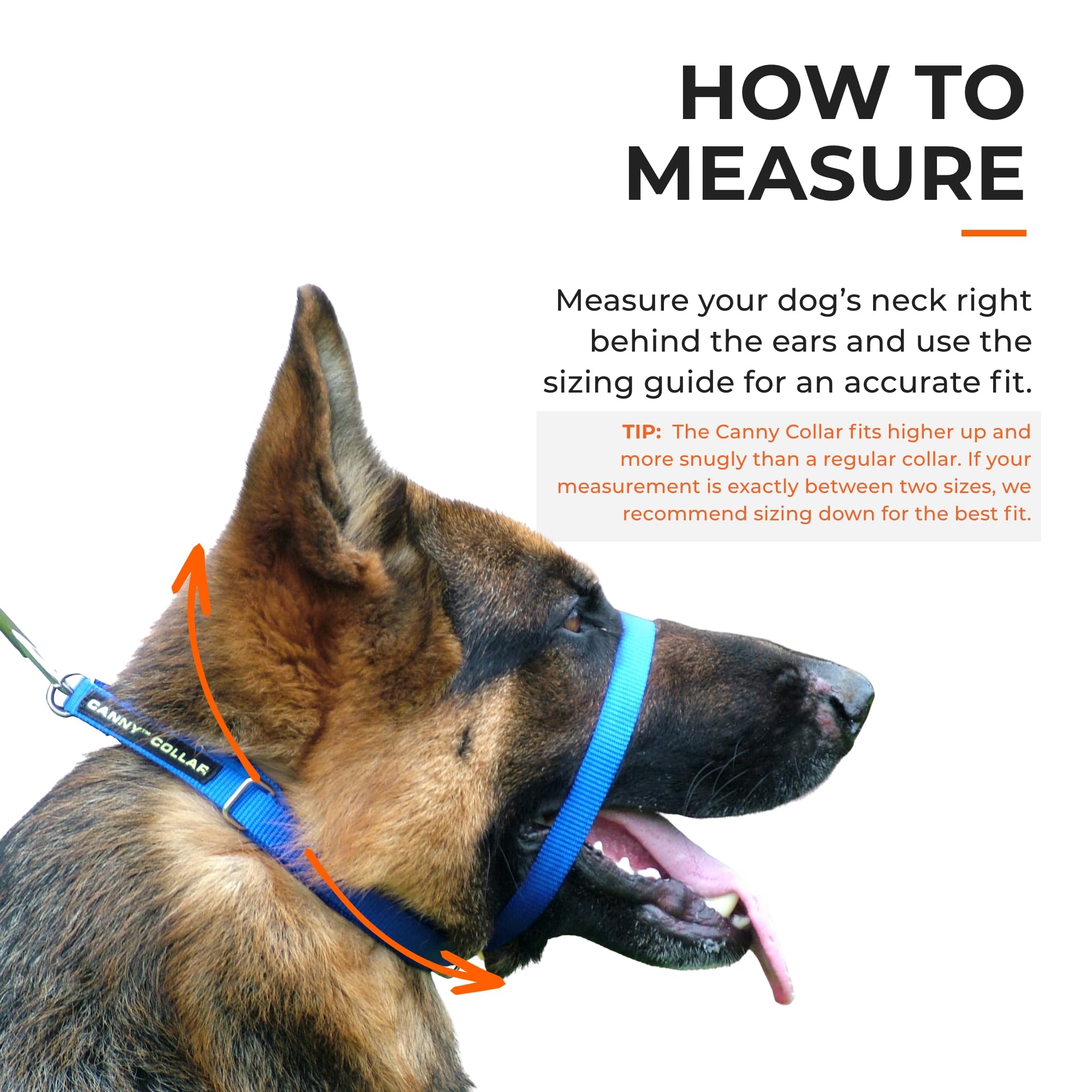 Canny Collar No-Pull Dog Collar - The Kind, Gentle Head Collar For Dogs| Dog Training Tool For Easier Dog Walking | Blue - Size