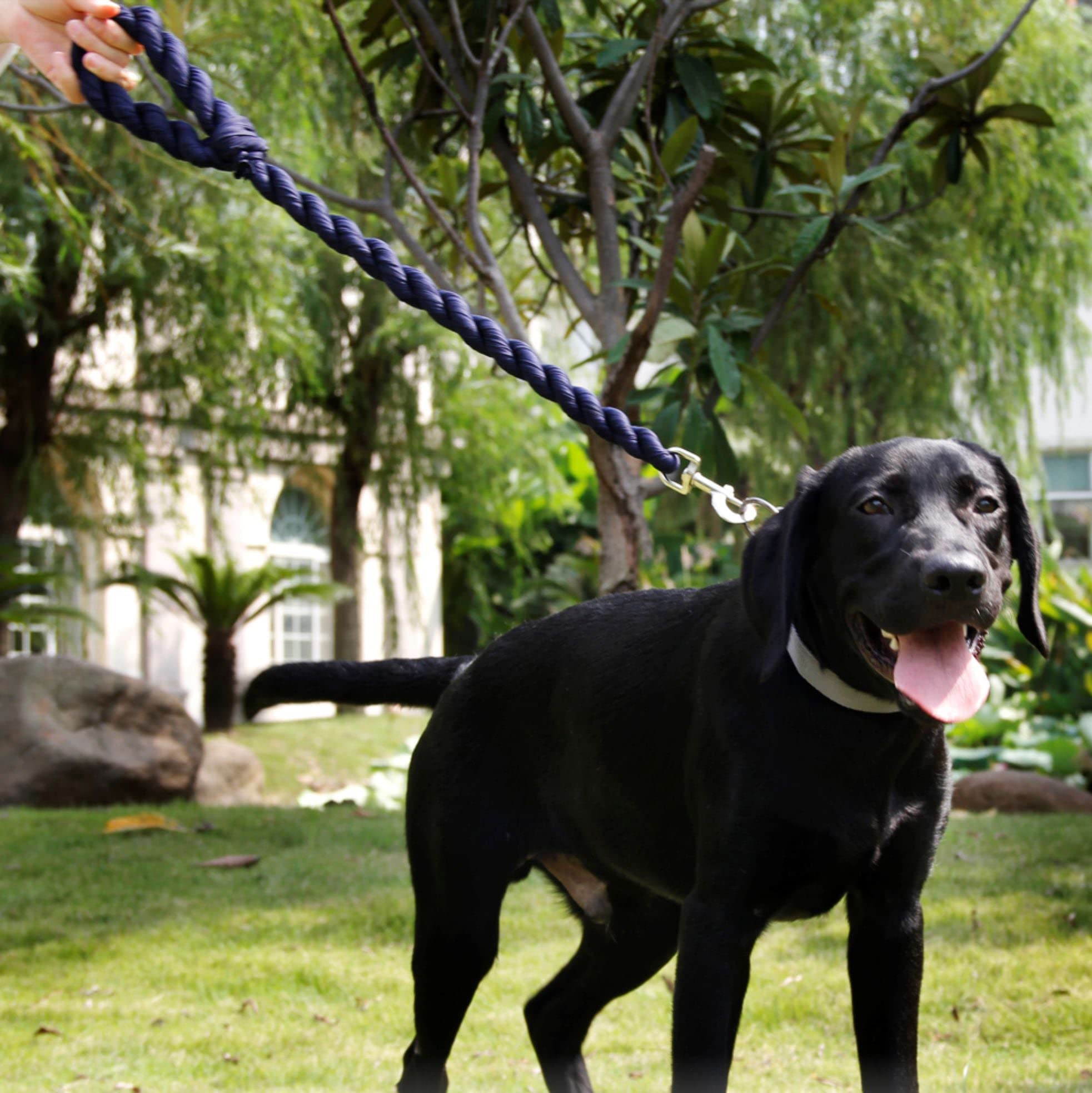 Pet Life Tough-Tugger Industrial-Strength Shock Absorption Woven Dog Leash - One Size - Navy