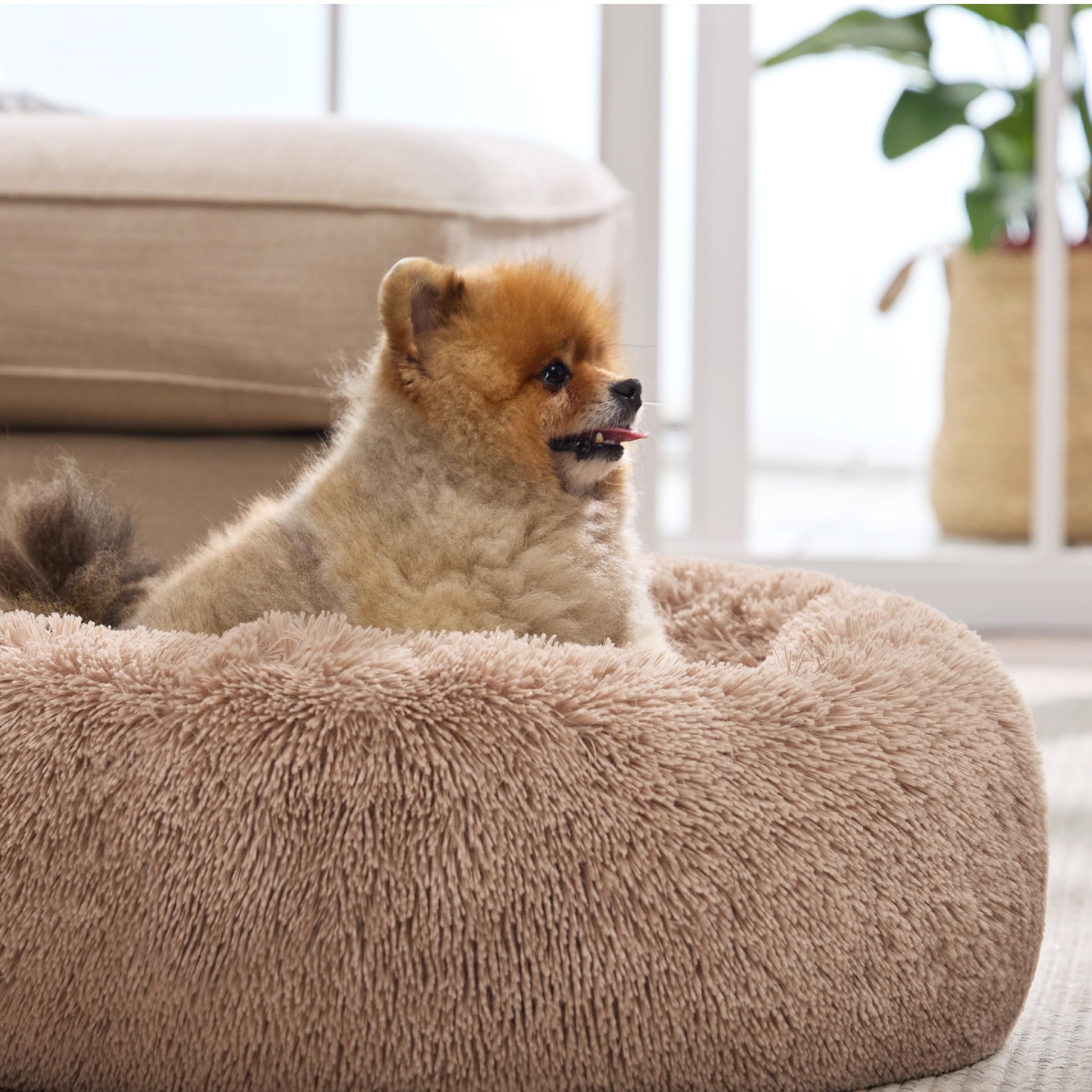 Bedsure Calming Dog Bed For Small Medium Dogs - Donut Washable Medium Puppy Bed, 27 Inches Anti-Slip Round Fluffy Plush Faux Fur