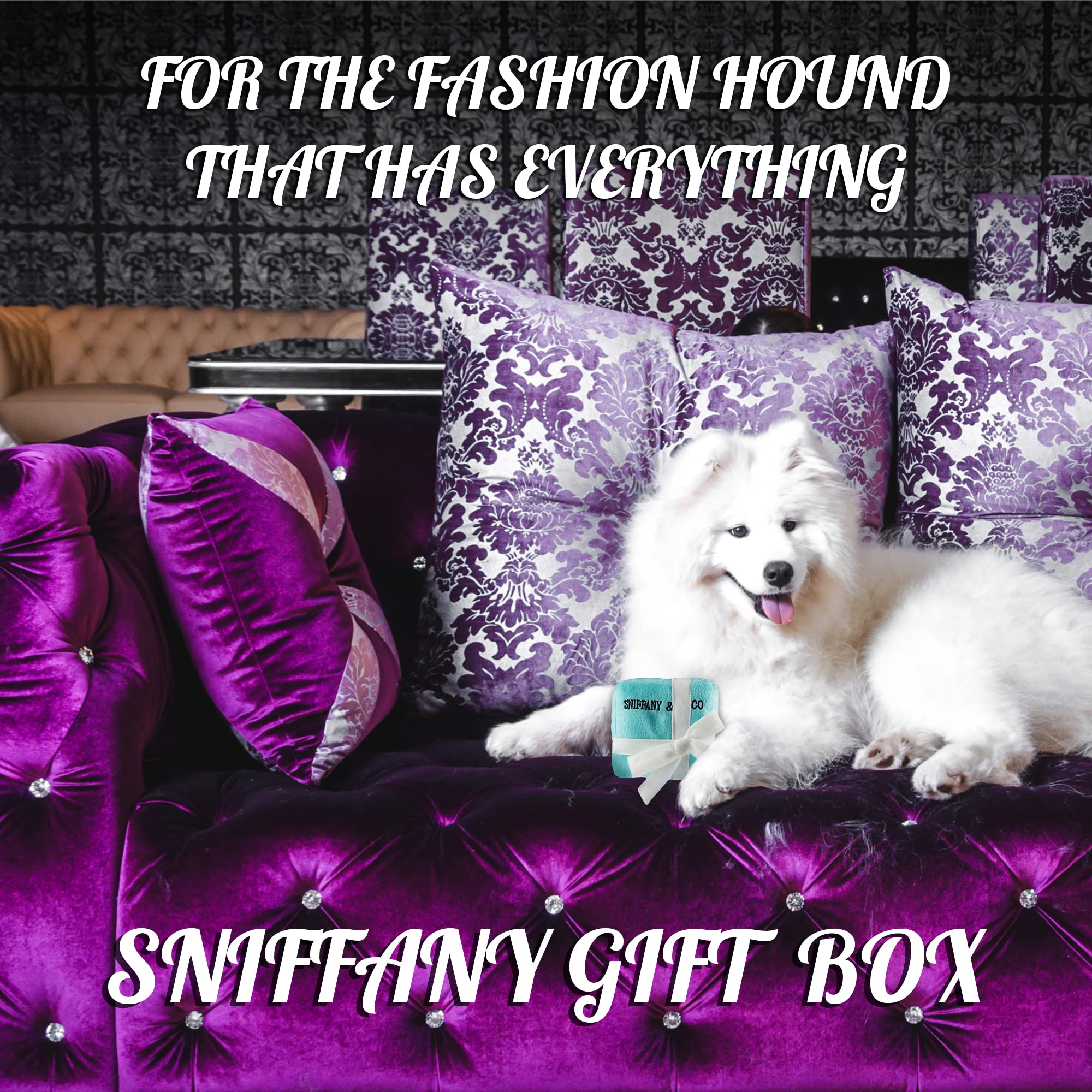 Dog Diggin Designs Priceless Capsule Gift Collection | Unique Squeaky Parody Plush Dog Toys – Thinking Outside The Box