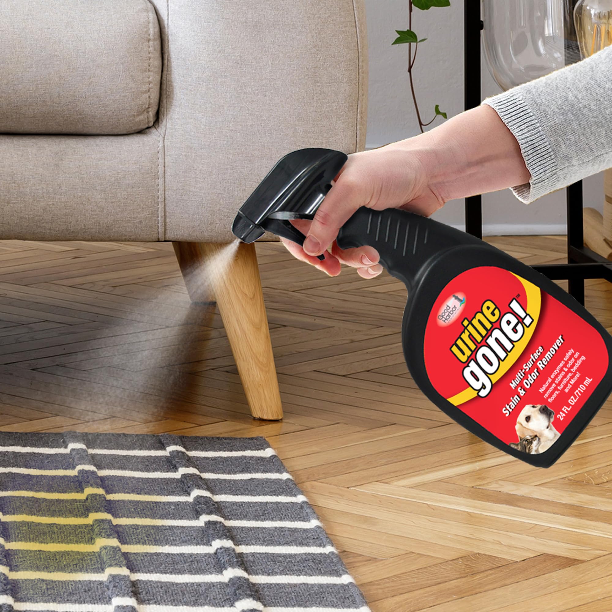 Urine Gone Stain & Odor Eliminator: Professional Strength Fast Acting, Enzyme Based Home Cleaning Solution for Carpet, Stain Rem