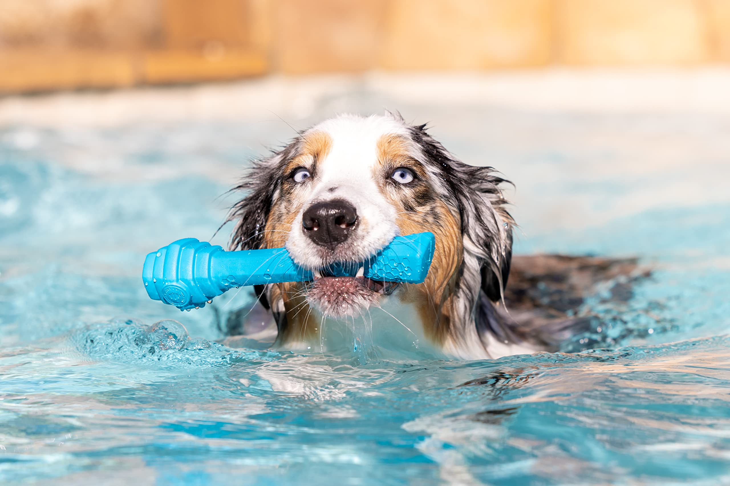 Project Hive ·Pet Company· - Soothing Vanilla Scented - Hive Dog Fetch Stick For Large Breeds - Dog Stick Toy - Floats In Water - Treat Dispenser Toy - Durable And Tough - Made In The Usa