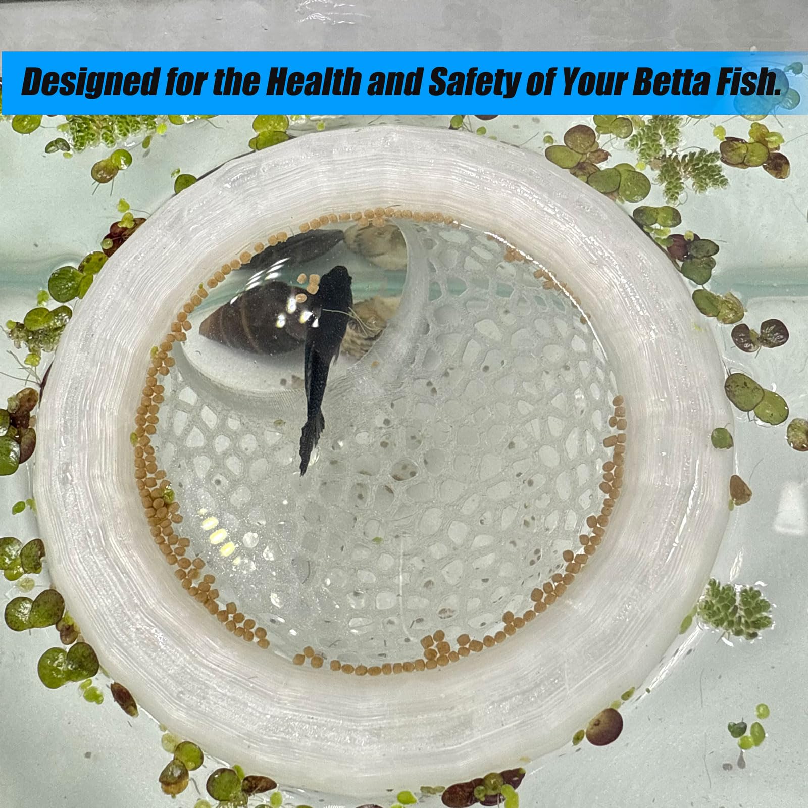 Aquarium Floating Betta Fish Skins, Betta or Shrimp Feeder, Cave and Hammock, Small Fish Feeding Rings, Aquarium Hiding Feeding