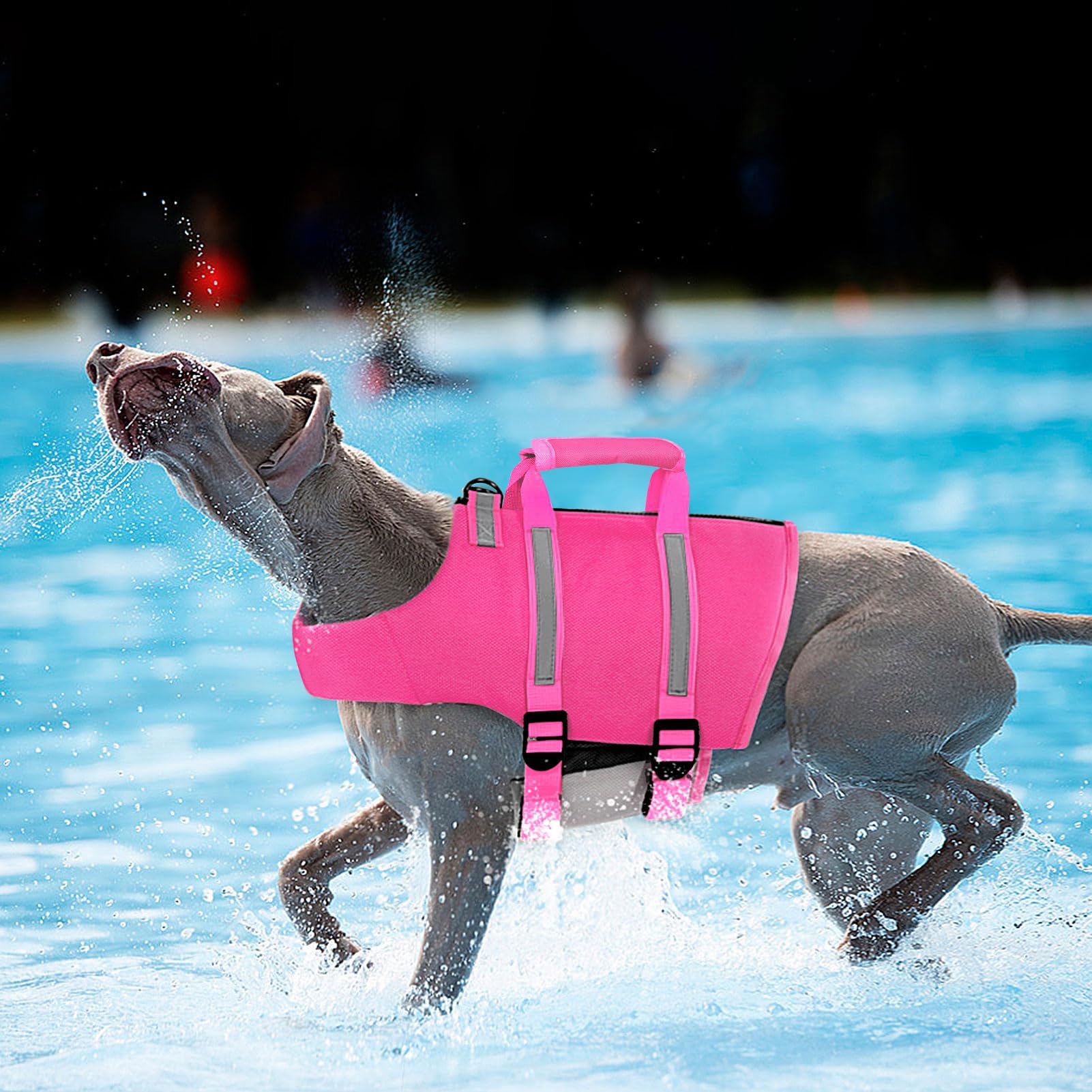 Queenmore Xxl Dog Life Jacket, Floating Vest For Boating, Lightweight Adjustable Reflective Lifesaver With Back Zip, Rescue Hand