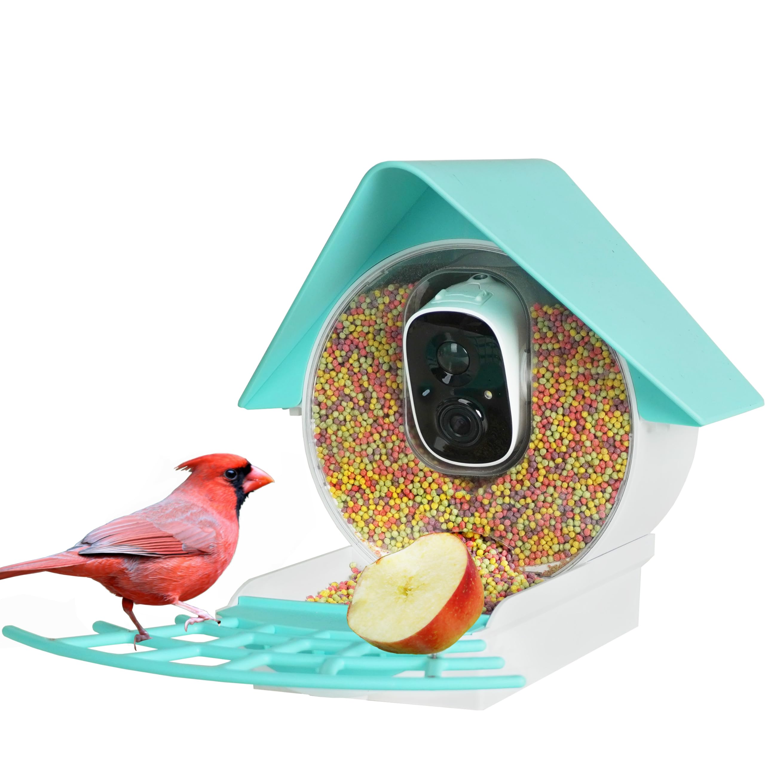 Birdkiss Smart Bird Feeder with Camera - AI Identifies Bird Species, Bird Feeder Camera with Solar Panel, Auto Captures Bird Vid