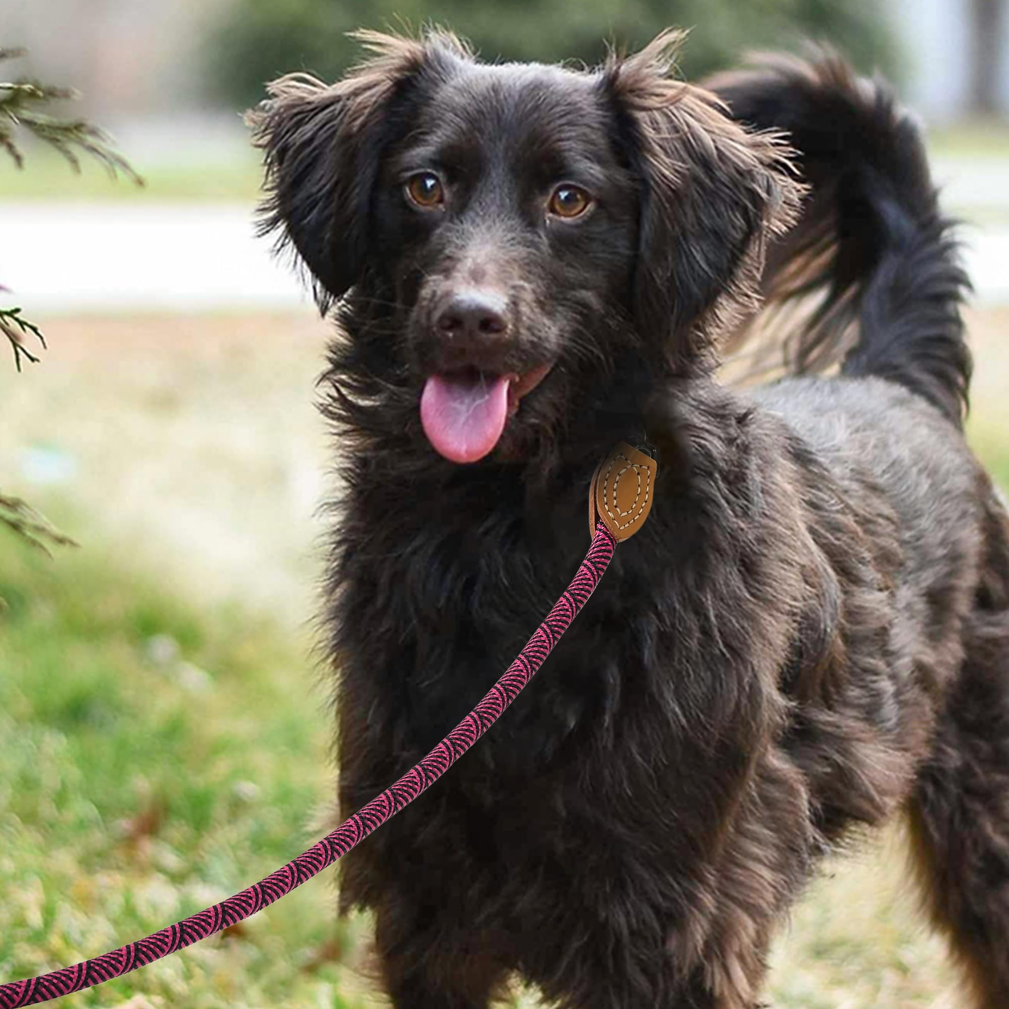 Mile High Life Rope Leash With Genuine Leather Connection, 6 Ft/5 Ft/4 Ft, Heavy Duty Leash For Medium & Large Dogs (Hot Pink, 7