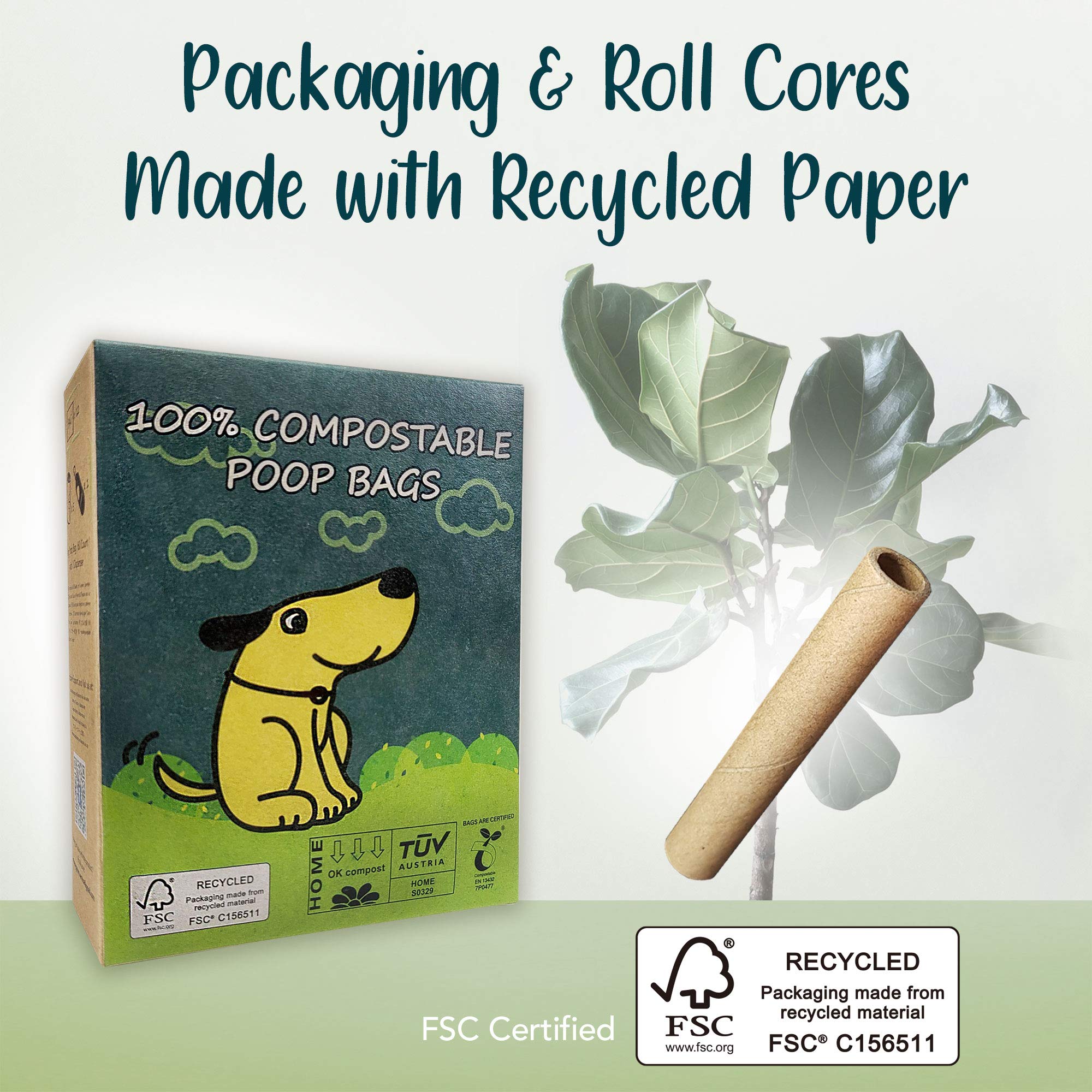 Moonygreen Dog Poop Bag, Compostable Dog Poop Bags With Free Holder, Eco-Friendly Doggie Poop Bags For Camping, Unscented, Vegetable-Based, Extra Thick, Leak Proof, Size 9 X 13 Inches, 60 Count